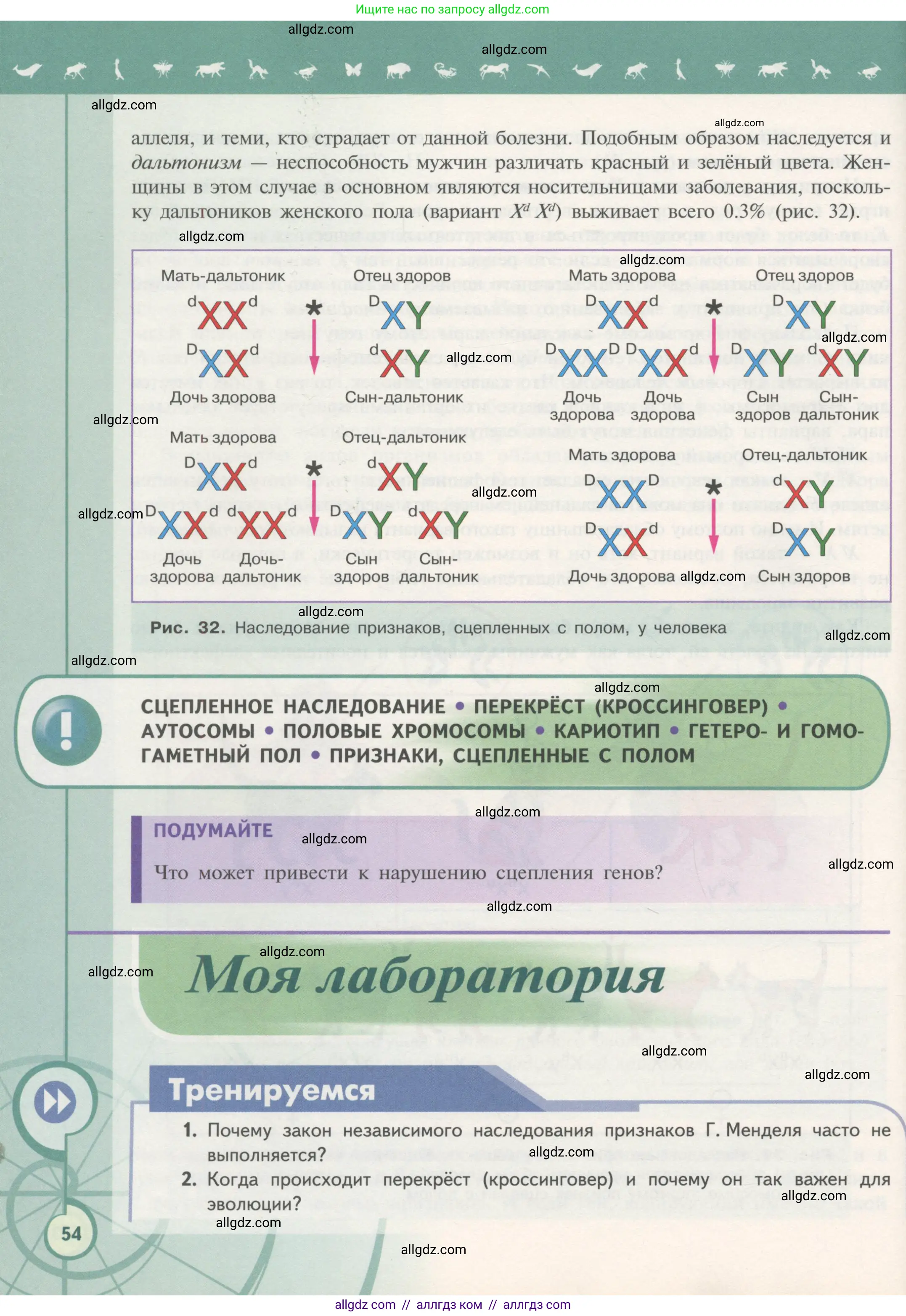 Биология, 11 класс Учебник, авторы: Пасечник Владимир Васильевич, Каменский Андрей Александрович, Рубцов Александр Михайлович, Швецов Глеб Геннадьевич, Гапонюк Зоя Георгиевна, издательство Просвещение, Москва, 2018, страница 54
