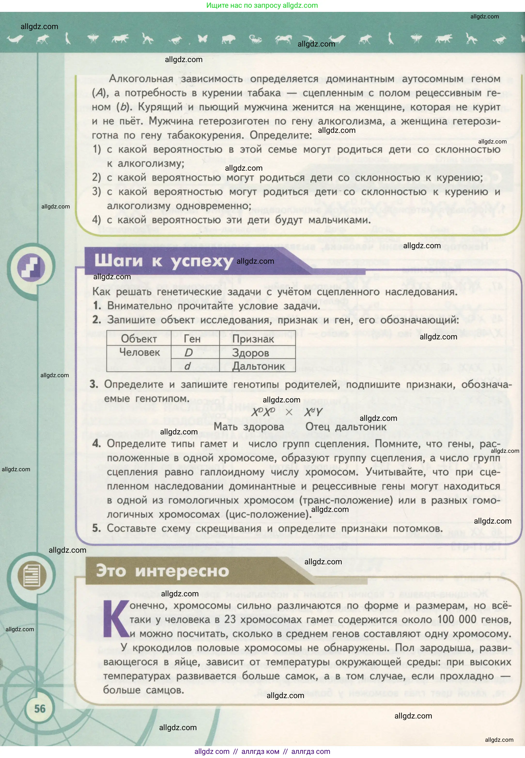 Биология, 11 класс Учебник, авторы: Пасечник Владимир Васильевич, Каменский Андрей Александрович, Рубцов Александр Михайлович, Швецов Глеб Геннадьевич, Гапонюк Зоя Георгиевна, издательство Просвещение, Москва, 2018, страница 56