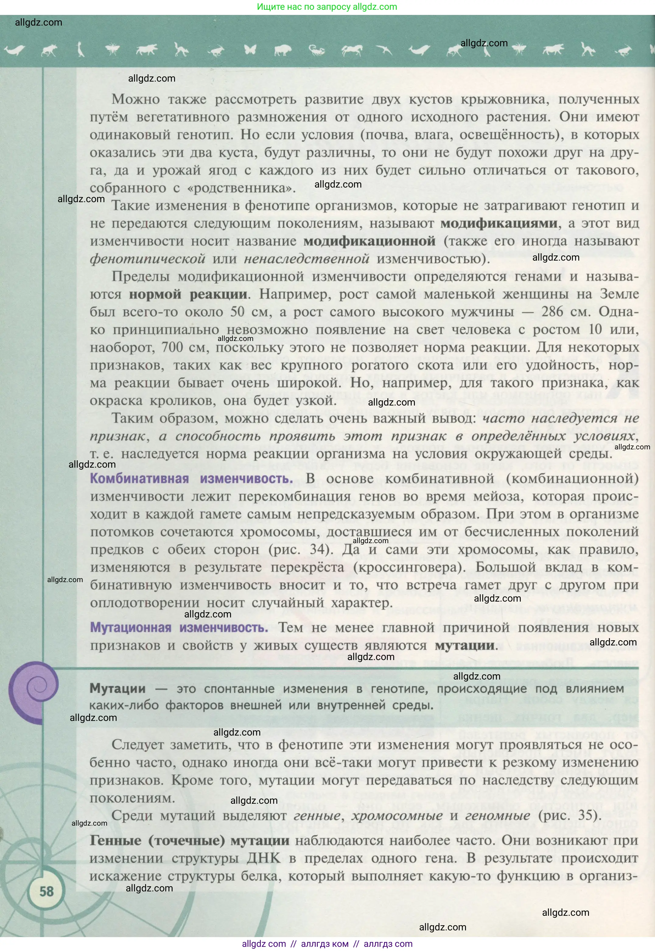 Биология, 11 класс Учебник, авторы: Пасечник Владимир Васильевич, Каменский Андрей Александрович, Рубцов Александр Михайлович, Швецов Глеб Геннадьевич, Гапонюк Зоя Георгиевна, издательство Просвещение, Москва, 2018, страница 58