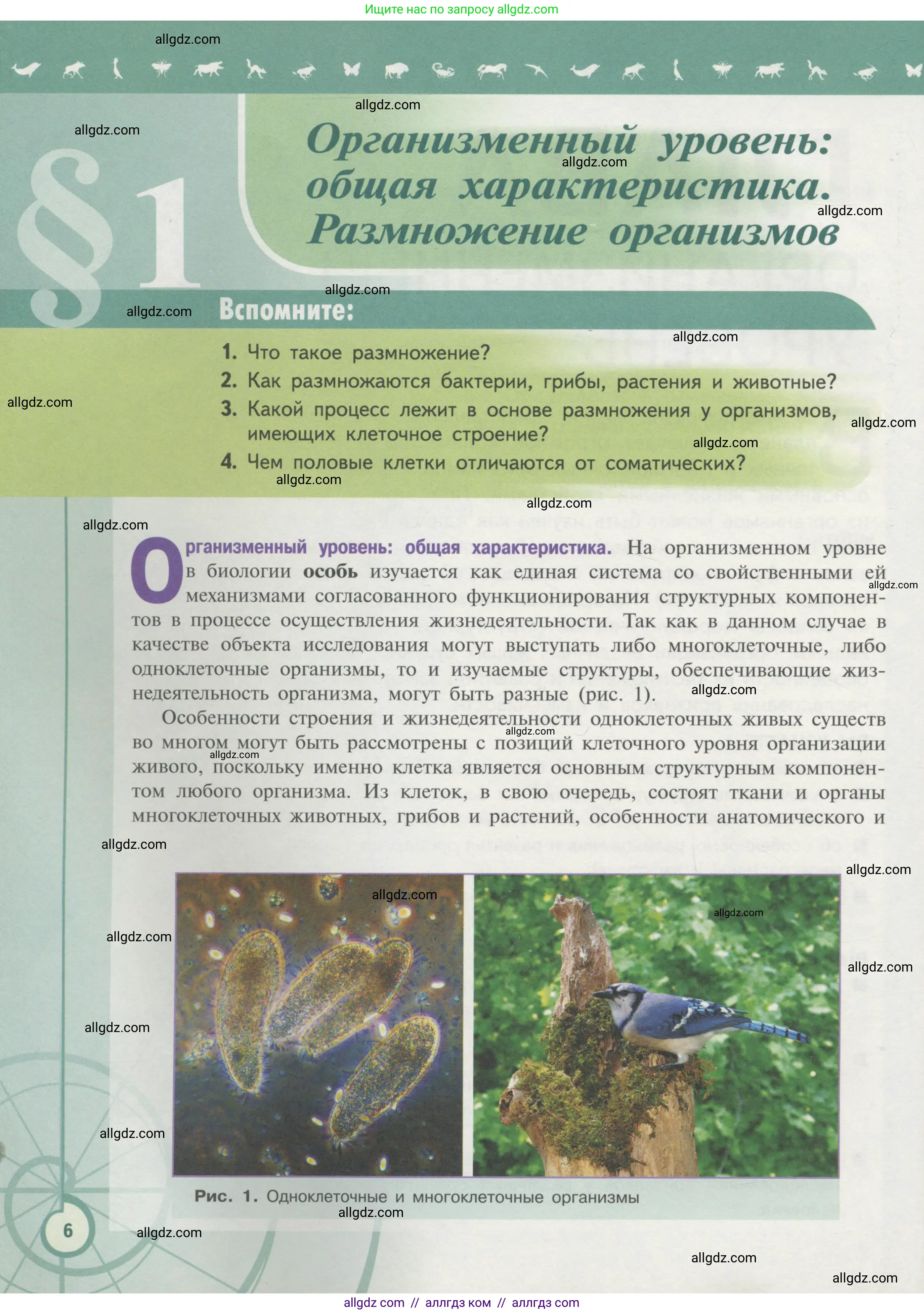 Биология, 11 класс Учебник, авторы: Пасечник Владимир Васильевич, Каменский Андрей Александрович, Рубцов Александр Михайлович, Швецов Глеб Геннадьевич, Гапонюк Зоя Георгиевна, издательство Просвещение, Москва, 2018, страница 6