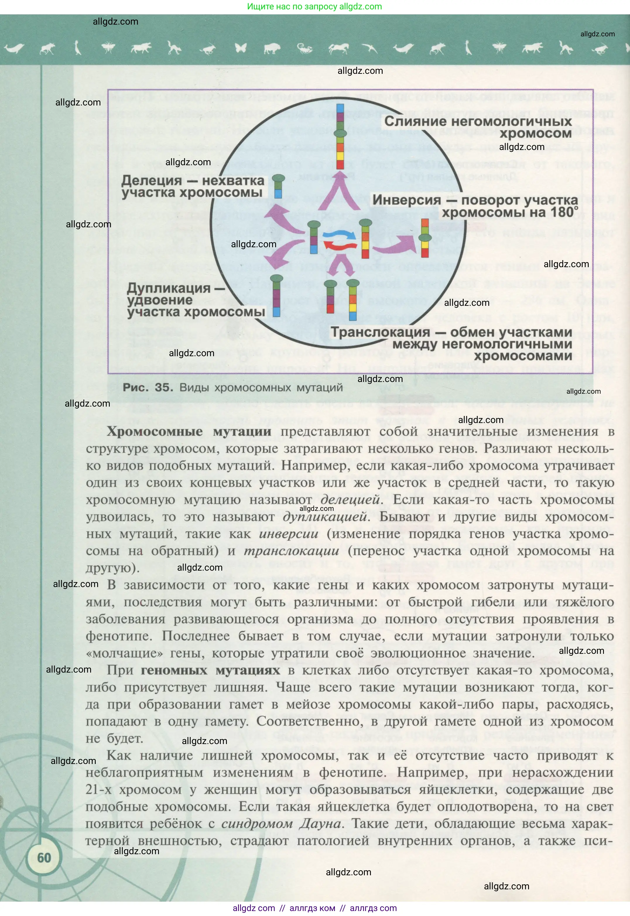 Биология, 11 класс Учебник, авторы: Пасечник Владимир Васильевич, Каменский Андрей Александрович, Рубцов Александр Михайлович, Швецов Глеб Геннадьевич, Гапонюк Зоя Георгиевна, издательство Просвещение, Москва, 2018, страница 60