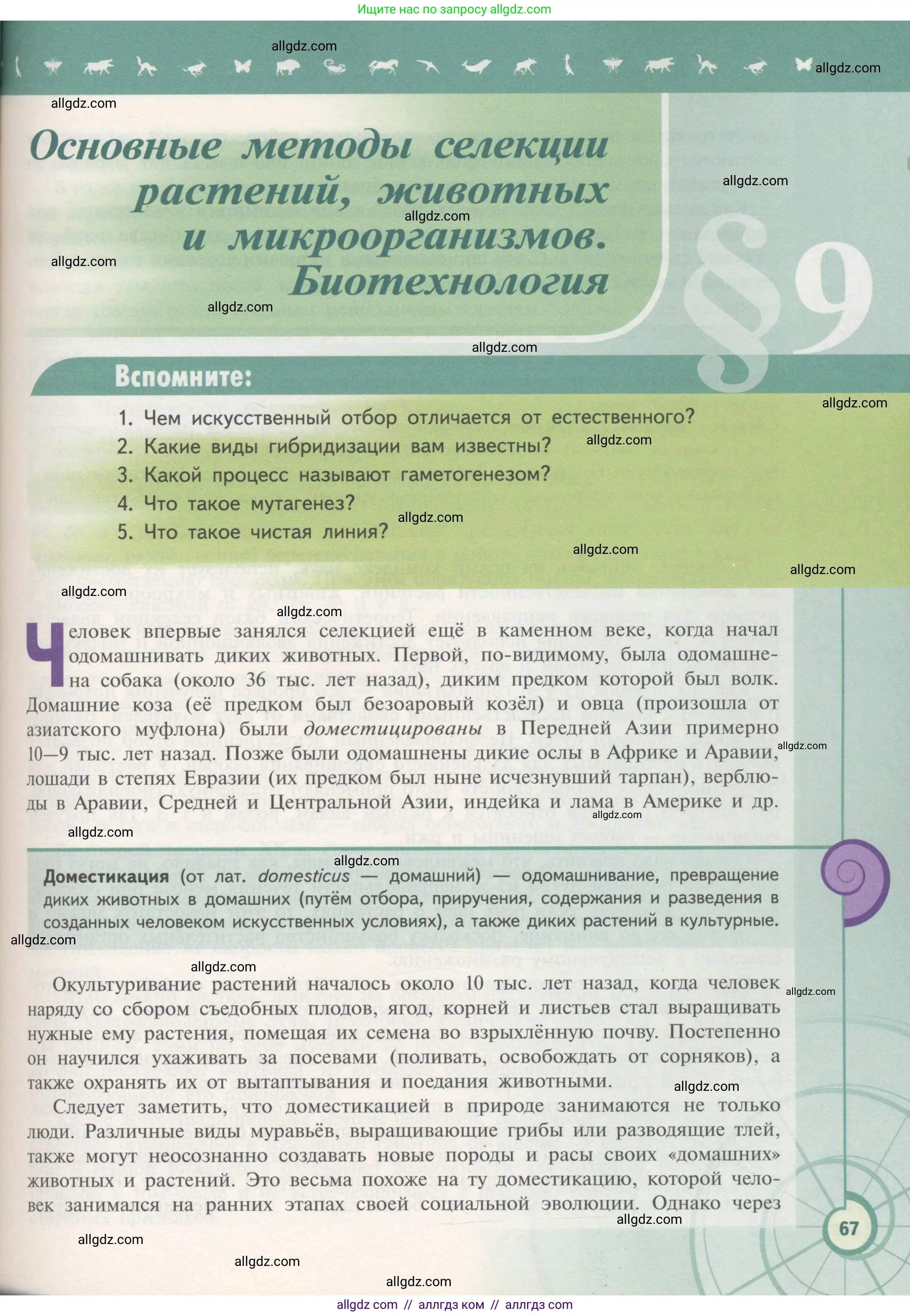 Биология, 11 класс Учебник, авторы: Пасечник Владимир Васильевич, Каменский Андрей Александрович, Рубцов Александр Михайлович, Швецов Глеб Геннадьевич, Гапонюк Зоя Георгиевна, издательство Просвещение, Москва, 2018, страница 67
