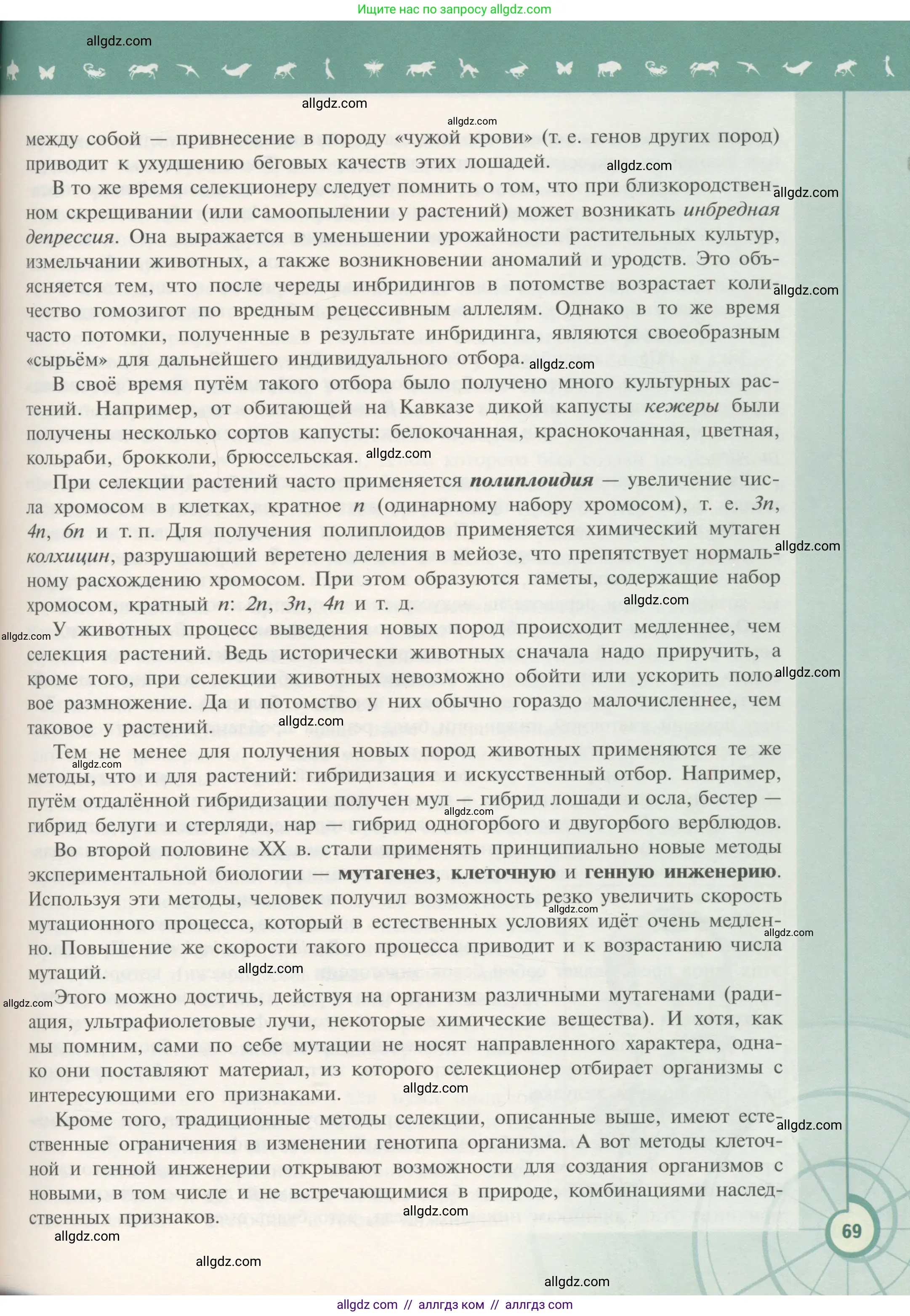 Биология, 11 класс Учебник, авторы: Пасечник Владимир Васильевич, Каменский Андрей Александрович, Рубцов Александр Михайлович, Швецов Глеб Геннадьевич, Гапонюк Зоя Георгиевна, издательство Просвещение, Москва, 2018, страница 69