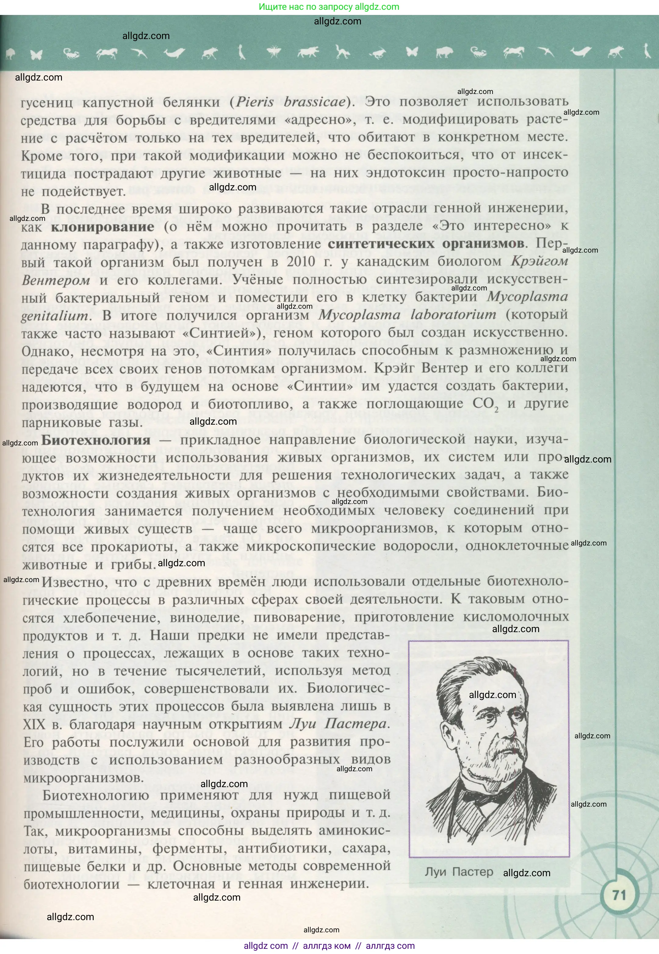 Биология, 11 класс Учебник, авторы: Пасечник Владимир Васильевич, Каменский Андрей Александрович, Рубцов Александр Михайлович, Швецов Глеб Геннадьевич, Гапонюк Зоя Георгиевна, издательство Просвещение, Москва, 2018, страница 71