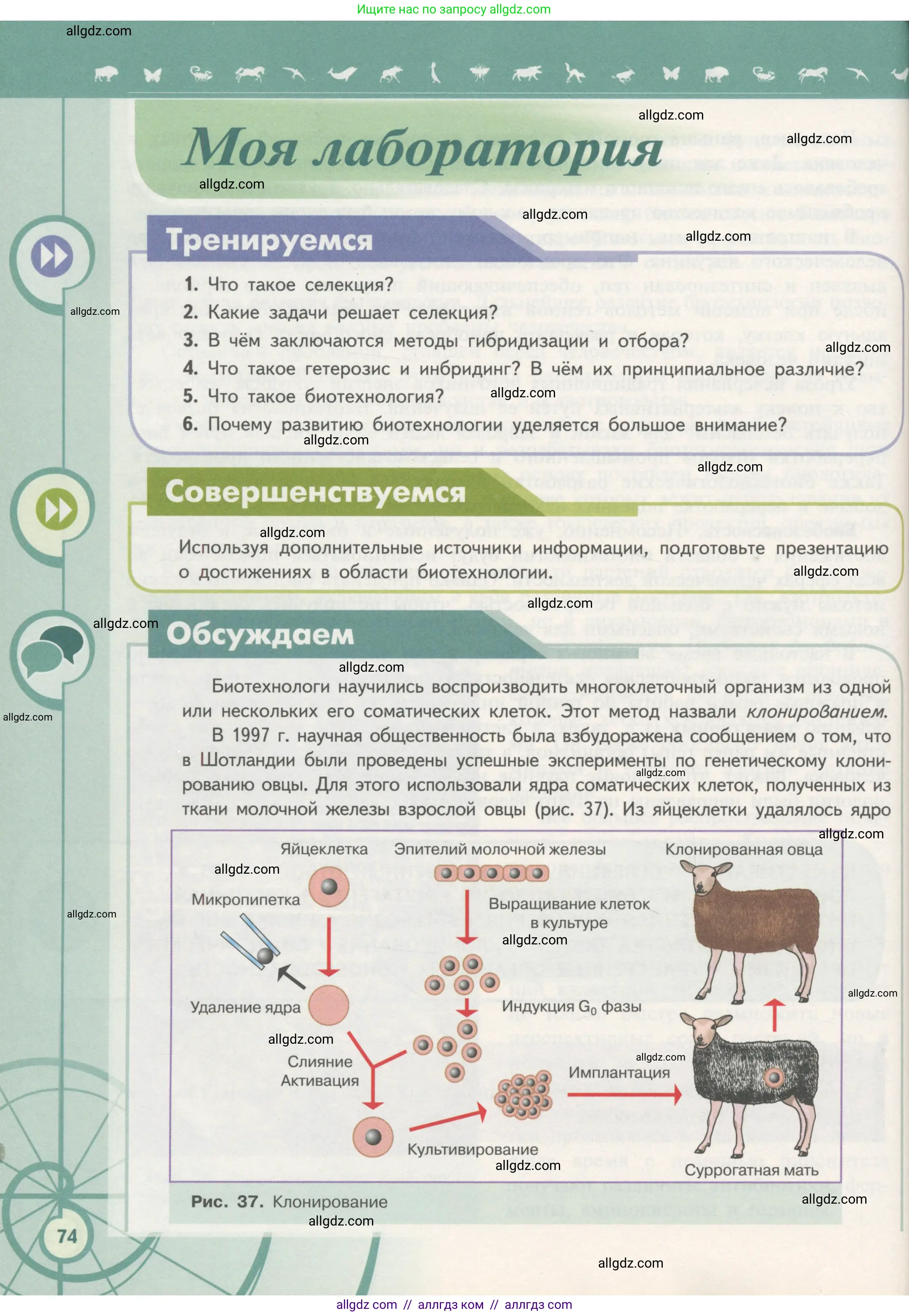 Биология, 11 класс Учебник, авторы: Пасечник Владимир Васильевич, Каменский Андрей Александрович, Рубцов Александр Михайлович, Швецов Глеб Геннадьевич, Гапонюк Зоя Георгиевна, издательство Просвещение, Москва, 2018, страница 74