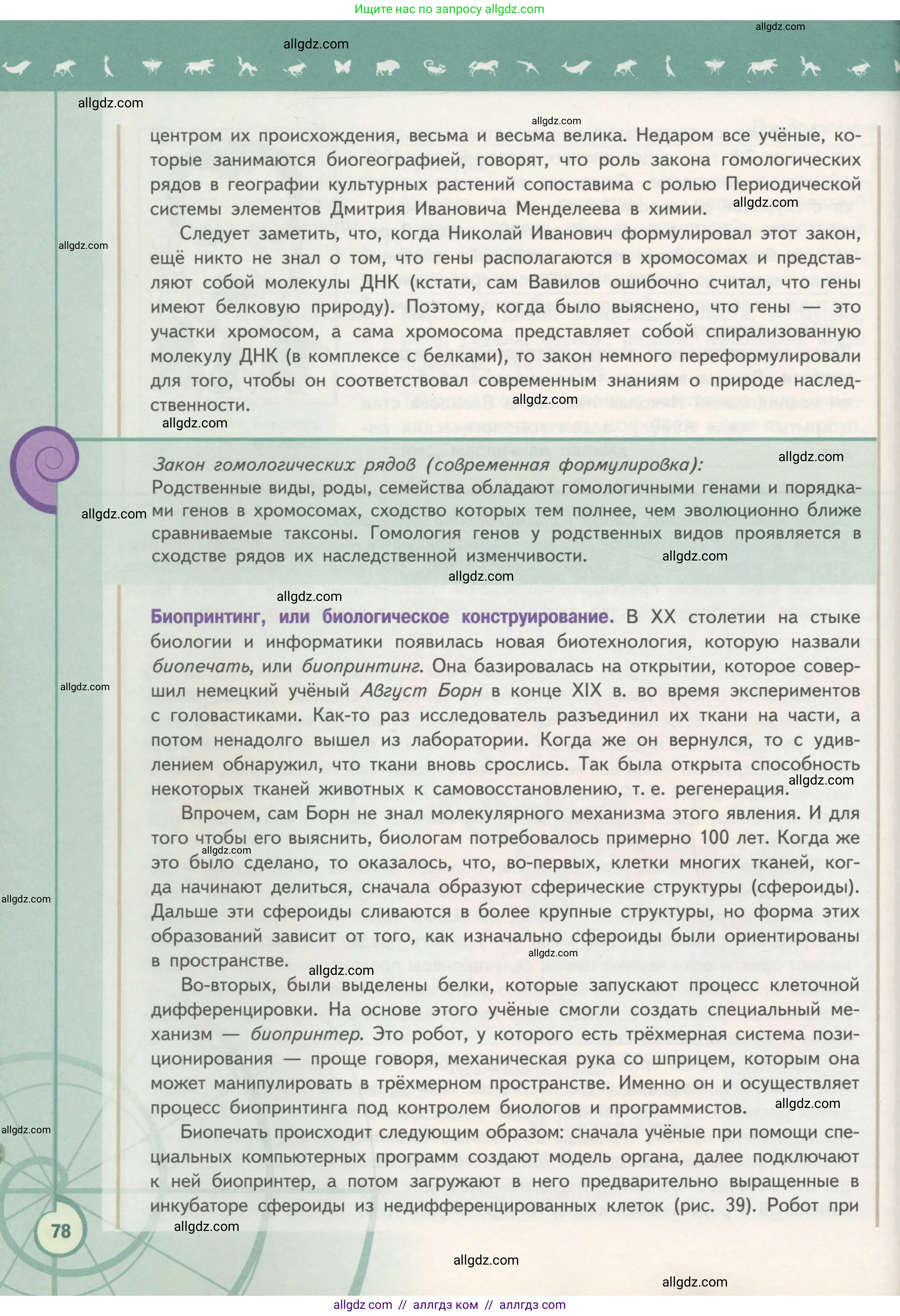 Биология, 11 класс Учебник, авторы: Пасечник Владимир Васильевич, Каменский Андрей Александрович, Рубцов Александр Михайлович, Швецов Глеб Геннадьевич, Гапонюк Зоя Георгиевна, издательство Просвещение, Москва, 2018, страница 78