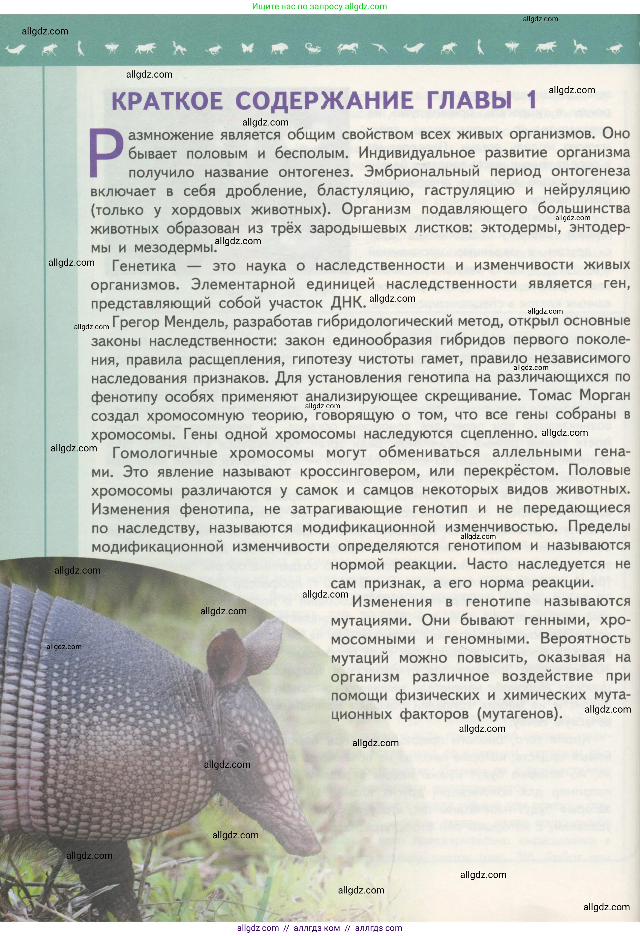 Биология, 11 класс Учебник, авторы: Пасечник Владимир Васильевич, Каменский Андрей Александрович, Рубцов Александр Михайлович, Швецов Глеб Геннадьевич, Гапонюк Зоя Георгиевна, издательство Просвещение, Москва, 2018, страница 80