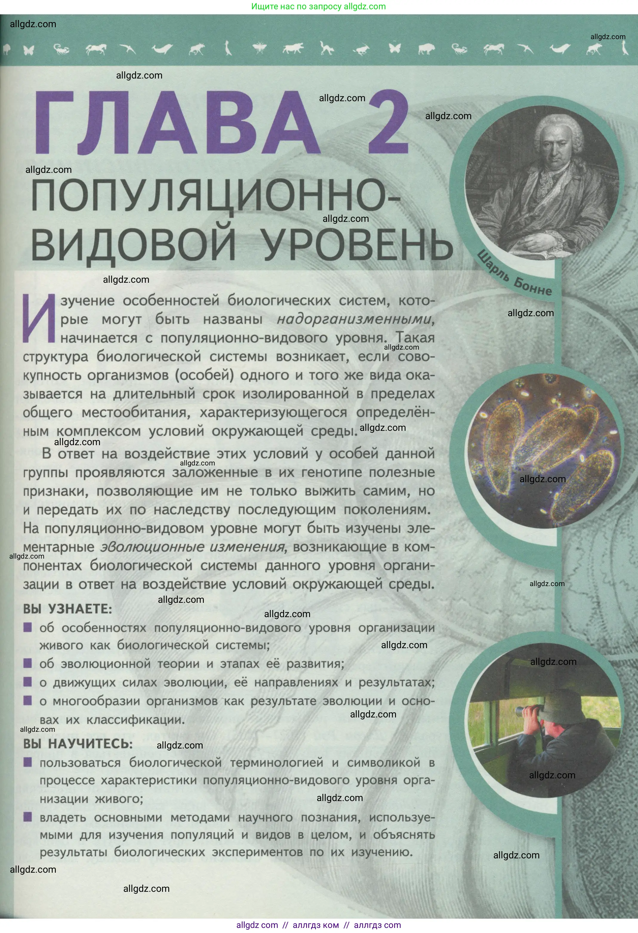 Биология, 11 класс Учебник, авторы: Пасечник Владимир Васильевич, Каменский Андрей Александрович, Рубцов Александр Михайлович, Швецов Глеб Геннадьевич, Гапонюк Зоя Георгиевна, издательство Просвещение, Москва, 2018, страница 81