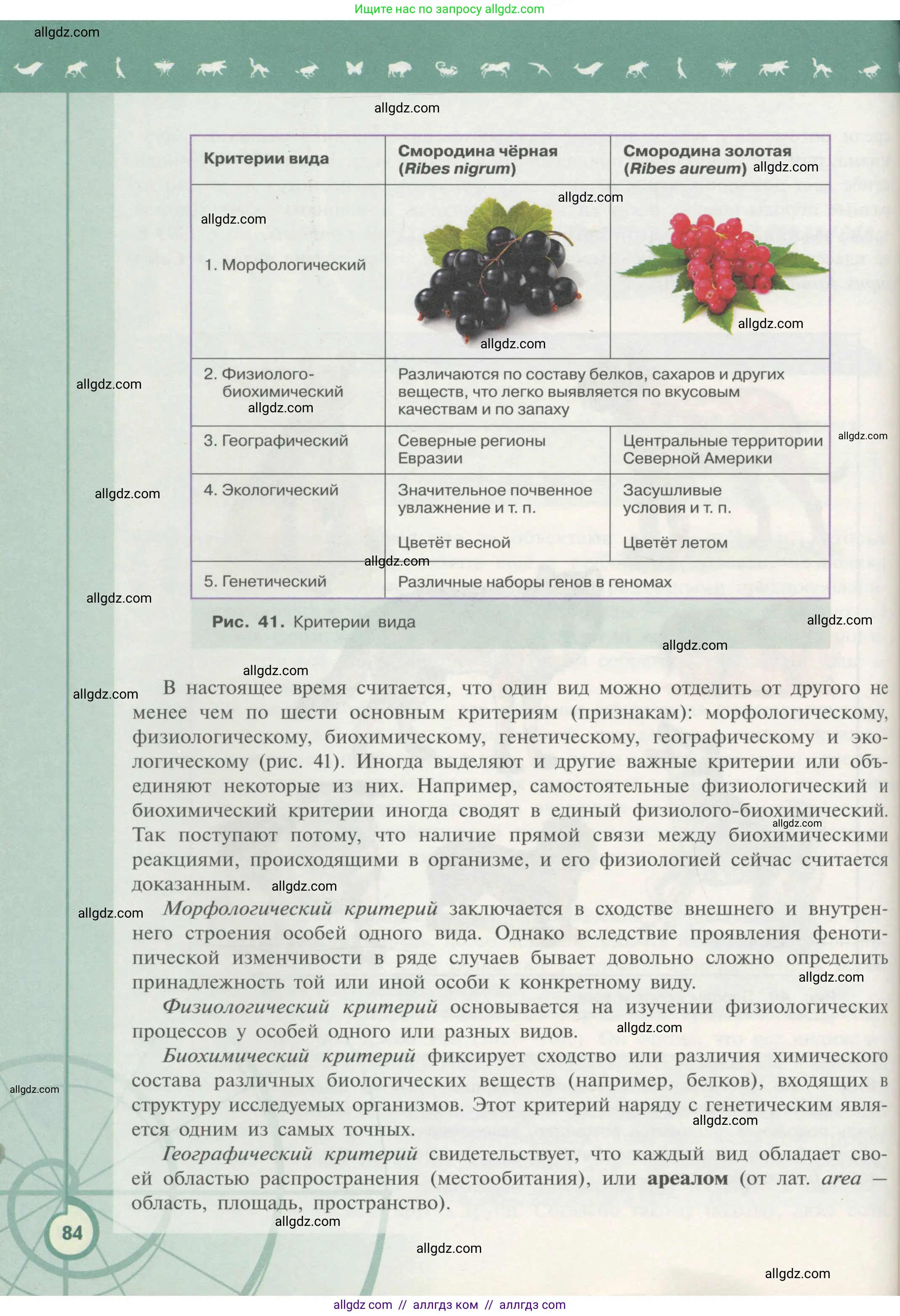 Биология, 11 класс Учебник, авторы: Пасечник Владимир Васильевич, Каменский Андрей Александрович, Рубцов Александр Михайлович, Швецов Глеб Геннадьевич, Гапонюк Зоя Георгиевна, издательство Просвещение, Москва, 2018, страница 84
