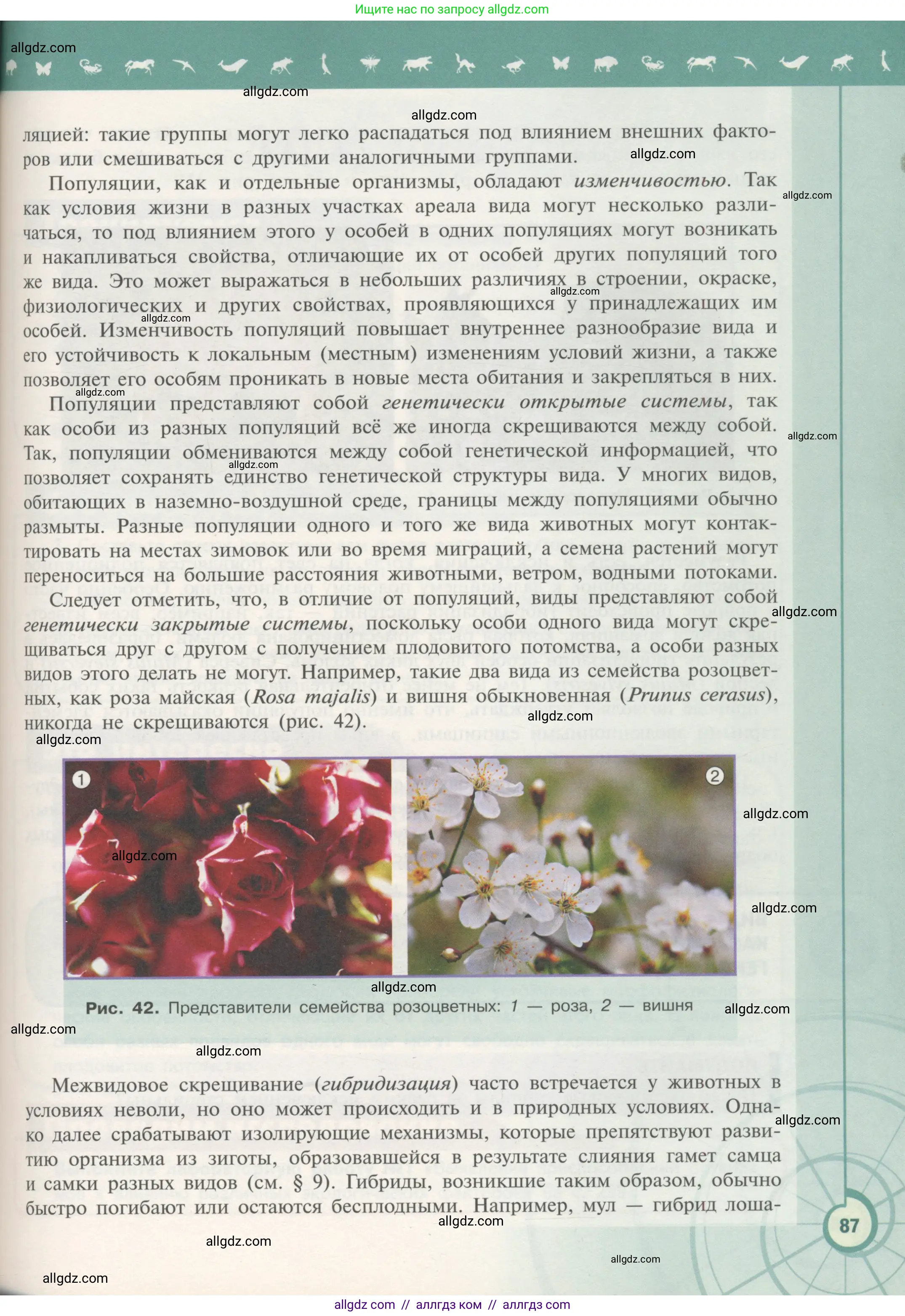 Биология, 11 класс Учебник, авторы: Пасечник Владимир Васильевич, Каменский Андрей Александрович, Рубцов Александр Михайлович, Швецов Глеб Геннадьевич, Гапонюк Зоя Георгиевна, издательство Просвещение, Москва, 2018, страница 87