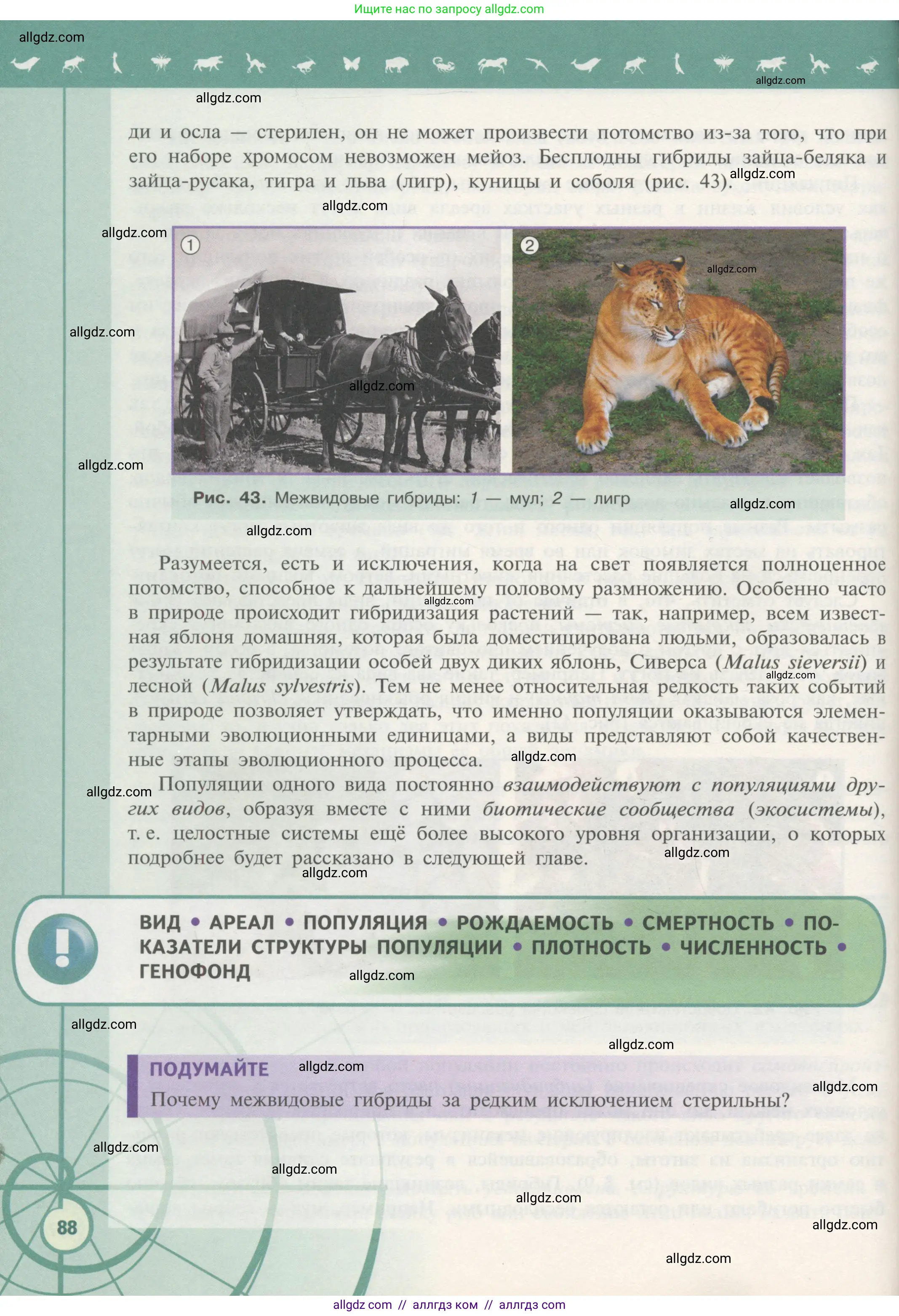 Биология, 11 класс Учебник, авторы: Пасечник Владимир Васильевич, Каменский Андрей Александрович, Рубцов Александр Михайлович, Швецов Глеб Геннадьевич, Гапонюк Зоя Георгиевна, издательство Просвещение, Москва, 2018, страница 88