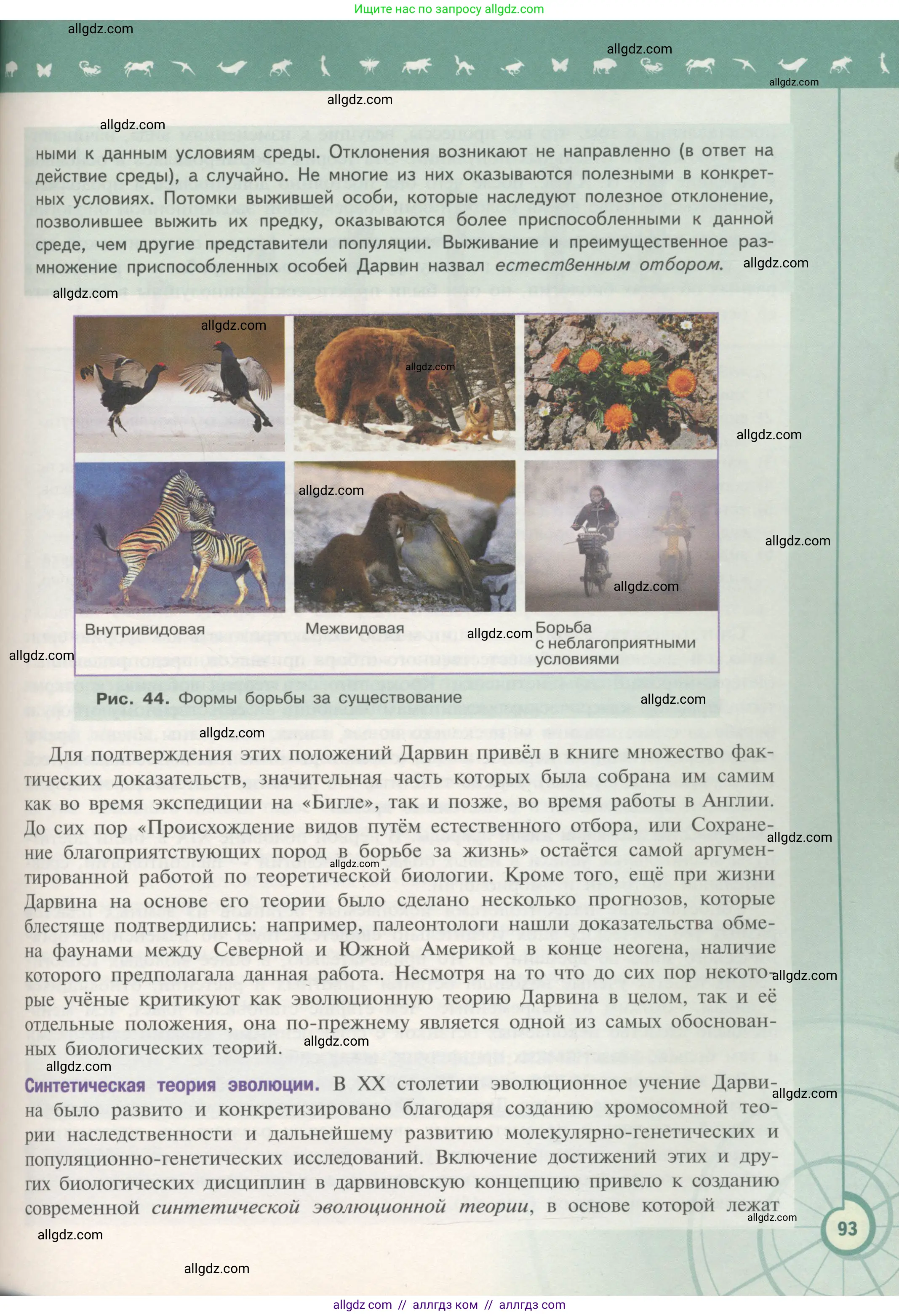 Биология, 11 класс Учебник, авторы: Пасечник Владимир Васильевич, Каменский Андрей Александрович, Рубцов Александр Михайлович, Швецов Глеб Геннадьевич, Гапонюк Зоя Георгиевна, издательство Просвещение, Москва, 2018, страница 93