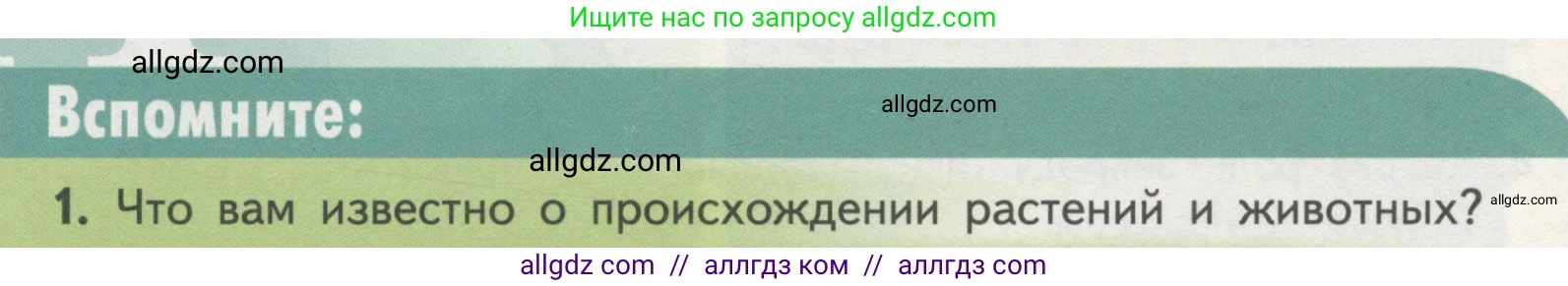 Биология, 11 класс Учебник, авторы: Пасечник Владимир Васильевич, Каменский Андрей Александрович, Рубцов Александр Михайлович, Швецов Глеб Геннадьевич, Гапонюк Зоя Георгиевна, издательство Просвещение, Москва, 2018, страница 90, номер 1, Условие