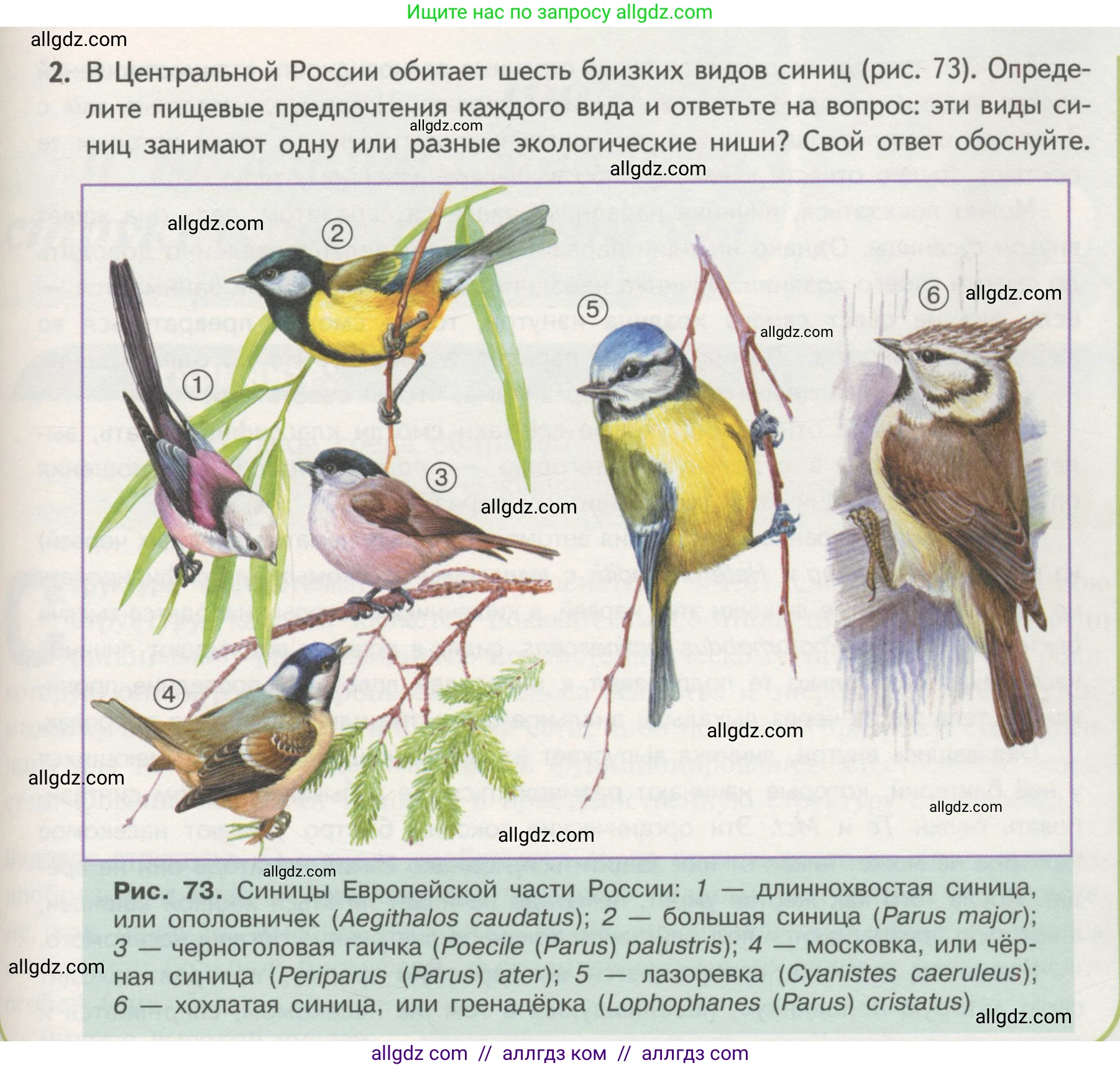 Биология, 11 класс Учебник, авторы: Пасечник Владимир Васильевич, Каменский Андрей Александрович, Рубцов Александр Михайлович, Швецов Глеб Геннадьевич, Гапонюк Зоя Георгиевна, издательство Просвещение, Москва, 2018, страница 161, номер 2, Условие