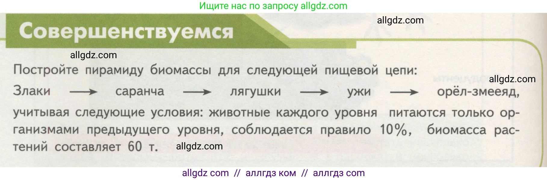 Биология, 11 класс Учебник, авторы: Пасечник Владимир Васильевич, Каменский Андрей Александрович, Рубцов Александр Михайлович, Швецов Глеб Геннадьевич, Гапонюк Зоя Георгиевна, издательство Просвещение, Москва, 2018, страница 174, Условие