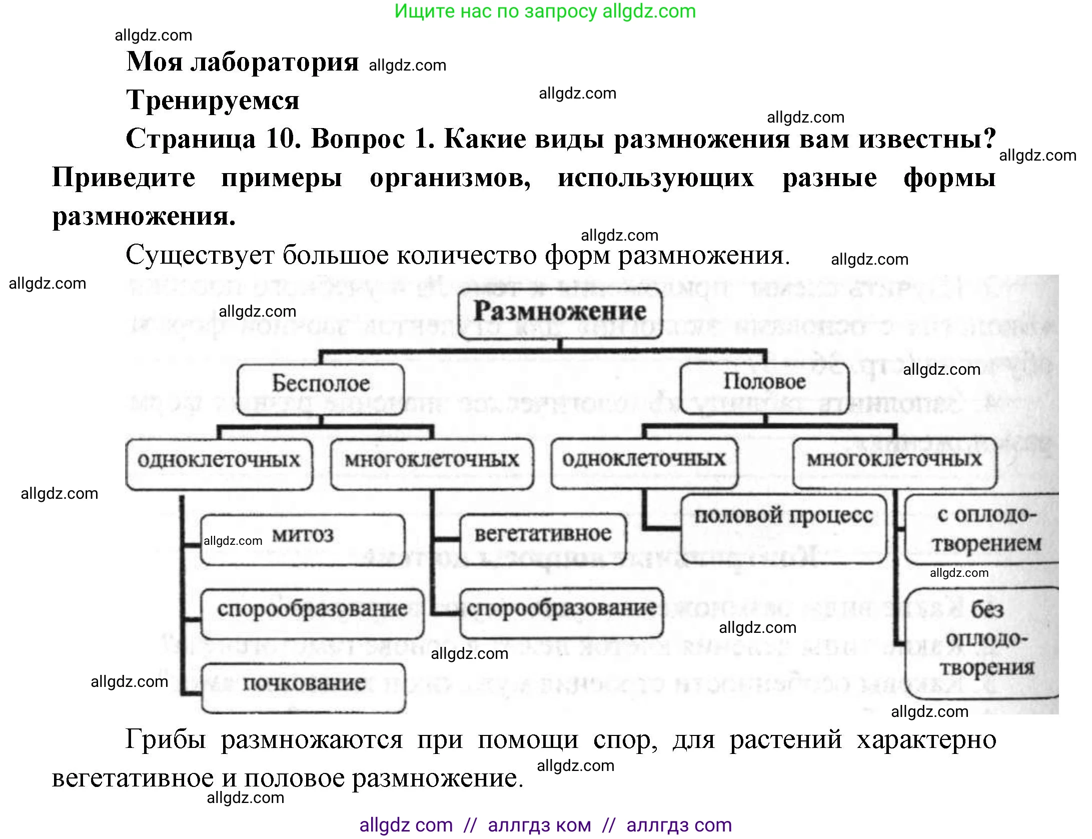 Биология, 11 класс Учебник, авторы: Пасечник Владимир Васильевич, Каменский Андрей Александрович, Рубцов Александр Михайлович, Швецов Глеб Геннадьевич, Гапонюк Зоя Георгиевна, издательство Просвещение, Москва, 2018, страница 10, номер 1, Решение