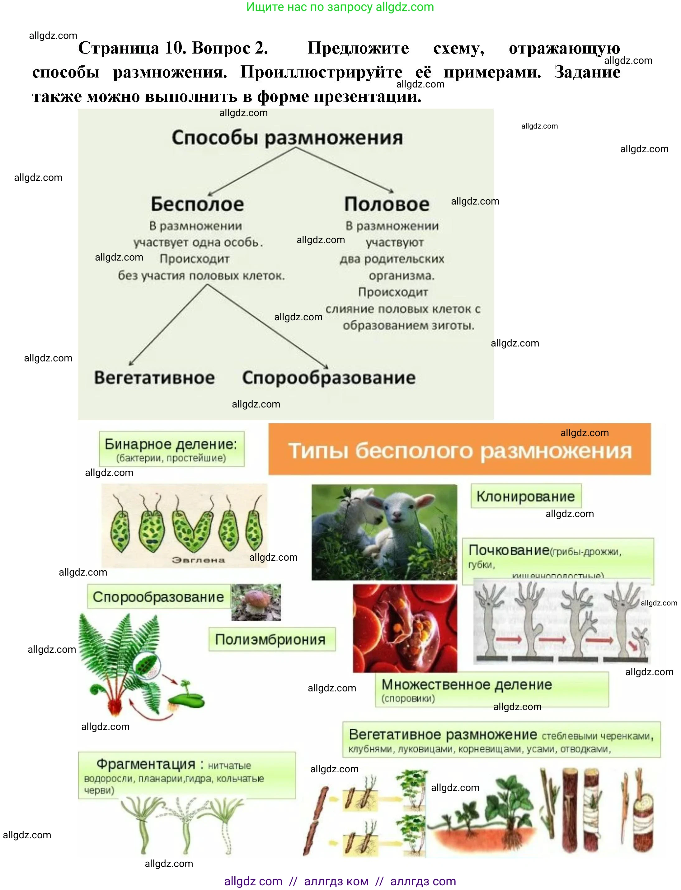 Биология, 11 класс Учебник, авторы: Пасечник Владимир Васильевич, Каменский Андрей Александрович, Рубцов Александр Михайлович, Швецов Глеб Геннадьевич, Гапонюк Зоя Георгиевна, издательство Просвещение, Москва, 2018, страница 10, номер 2, Решение