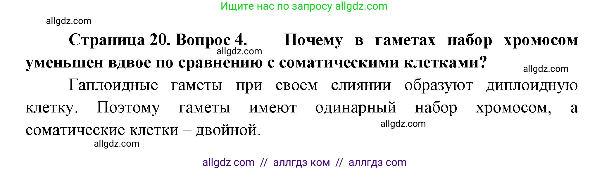 Биология, 11 класс Учебник, авторы: Пасечник Владимир Васильевич, Каменский Андрей Александрович, Рубцов Александр Михайлович, Швецов Глеб Геннадьевич, Гапонюк Зоя Георгиевна, издательство Просвещение, Москва, 2018, страница 19, номер 4, Решение