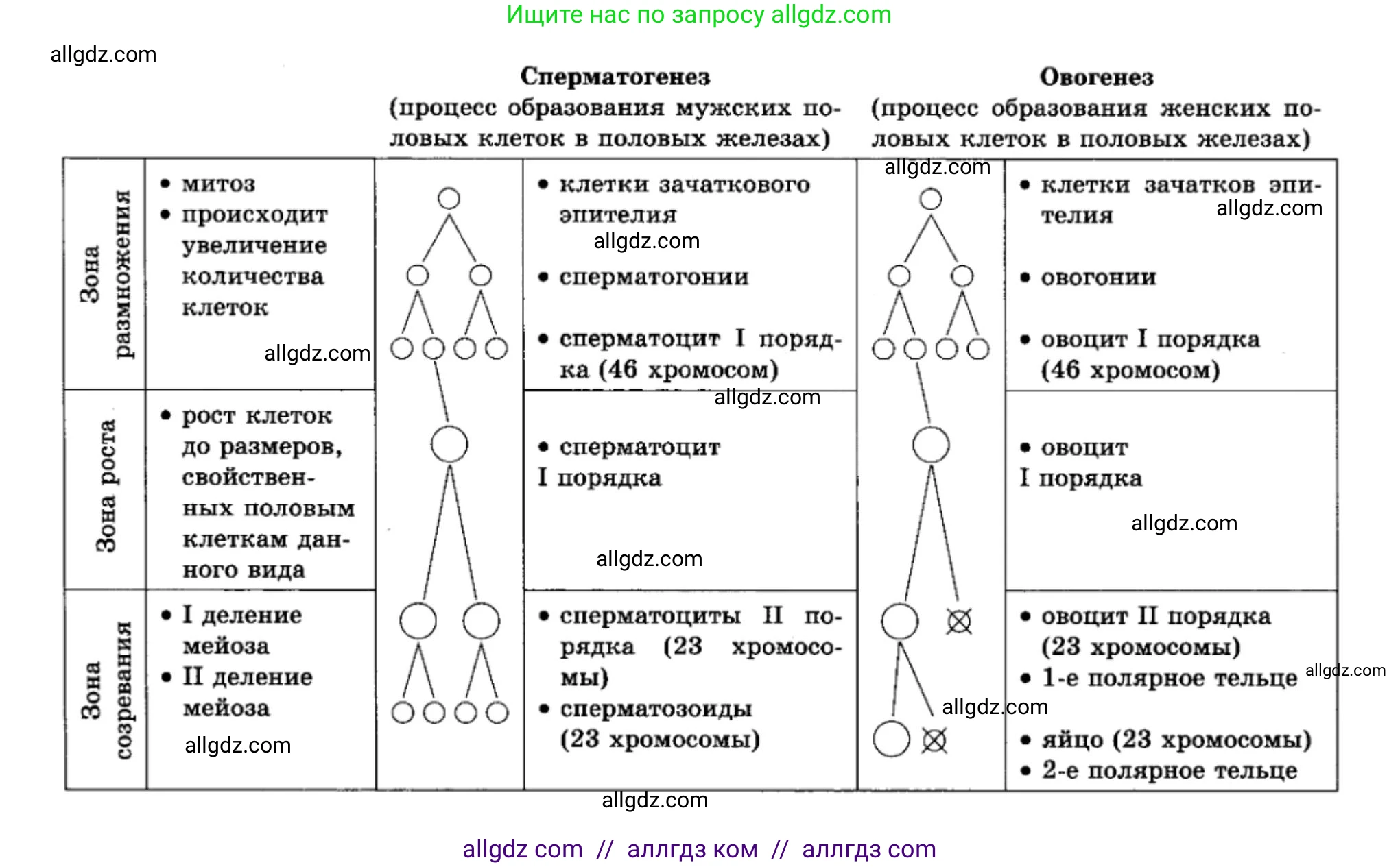 Биология, 11 класс Учебник, авторы: Пасечник Владимир Васильевич, Каменский Андрей Александрович, Рубцов Александр Михайлович, Швецов Глеб Геннадьевич, Гапонюк Зоя Георгиевна, издательство Просвещение, Москва, 2018, страница 20, номер 1, Решение (продолжение 2)