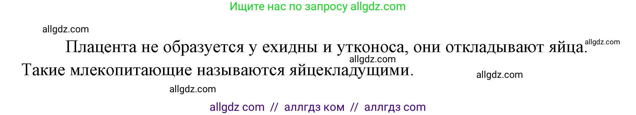 Биология, 11 класс Учебник, авторы: Пасечник Владимир Васильевич, Каменский Андрей Александрович, Рубцов Александр Михайлович, Швецов Глеб Геннадьевич, Гапонюк Зоя Георгиевна, издательство Просвещение, Москва, 2018, страница 28, номер 2, Решение (продолжение 2)