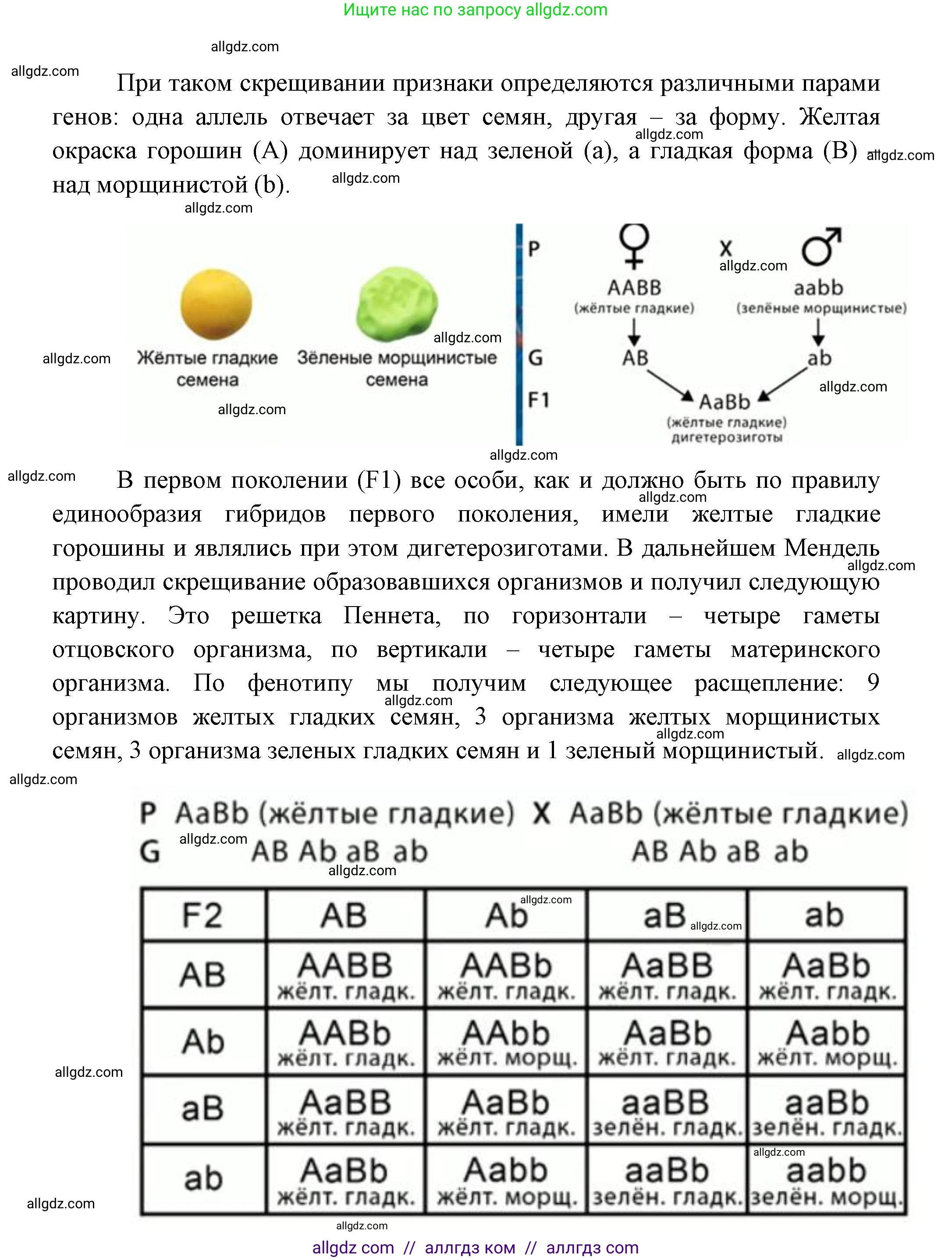 Биология, 11 класс Учебник, авторы: Пасечник Владимир Васильевич, Каменский Андрей Александрович, Рубцов Александр Михайлович, Швецов Глеб Геннадьевич, Гапонюк Зоя Георгиевна, издательство Просвещение, Москва, 2018, страница 46, номер 1, Решение (продолжение 2)