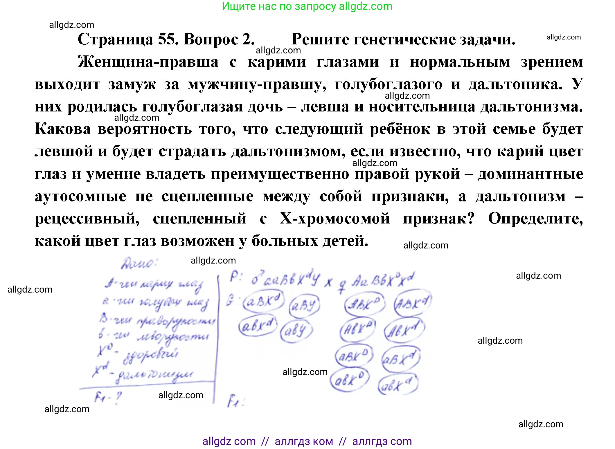Биология, 11 класс Учебник, авторы: Пасечник Владимир Васильевич, Каменский Андрей Александрович, Рубцов Александр Михайлович, Швецов Глеб Геннадьевич, Гапонюк Зоя Георгиевна, издательство Просвещение, Москва, 2018, страница 55, номер 2, Решение