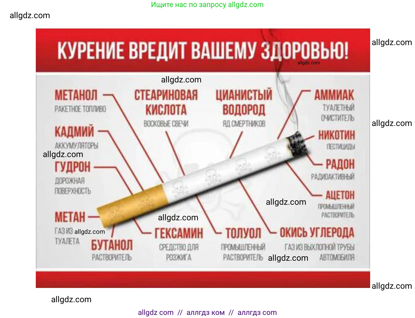 Биология, 11 класс Учебник, авторы: Пасечник Владимир Васильевич, Каменский Андрей Александрович, Рубцов Александр Михайлович, Швецов Глеб Геннадьевич, Гапонюк Зоя Георгиевна, издательство Просвещение, Москва, 2018, страница 62, Решение (продолжение 2)