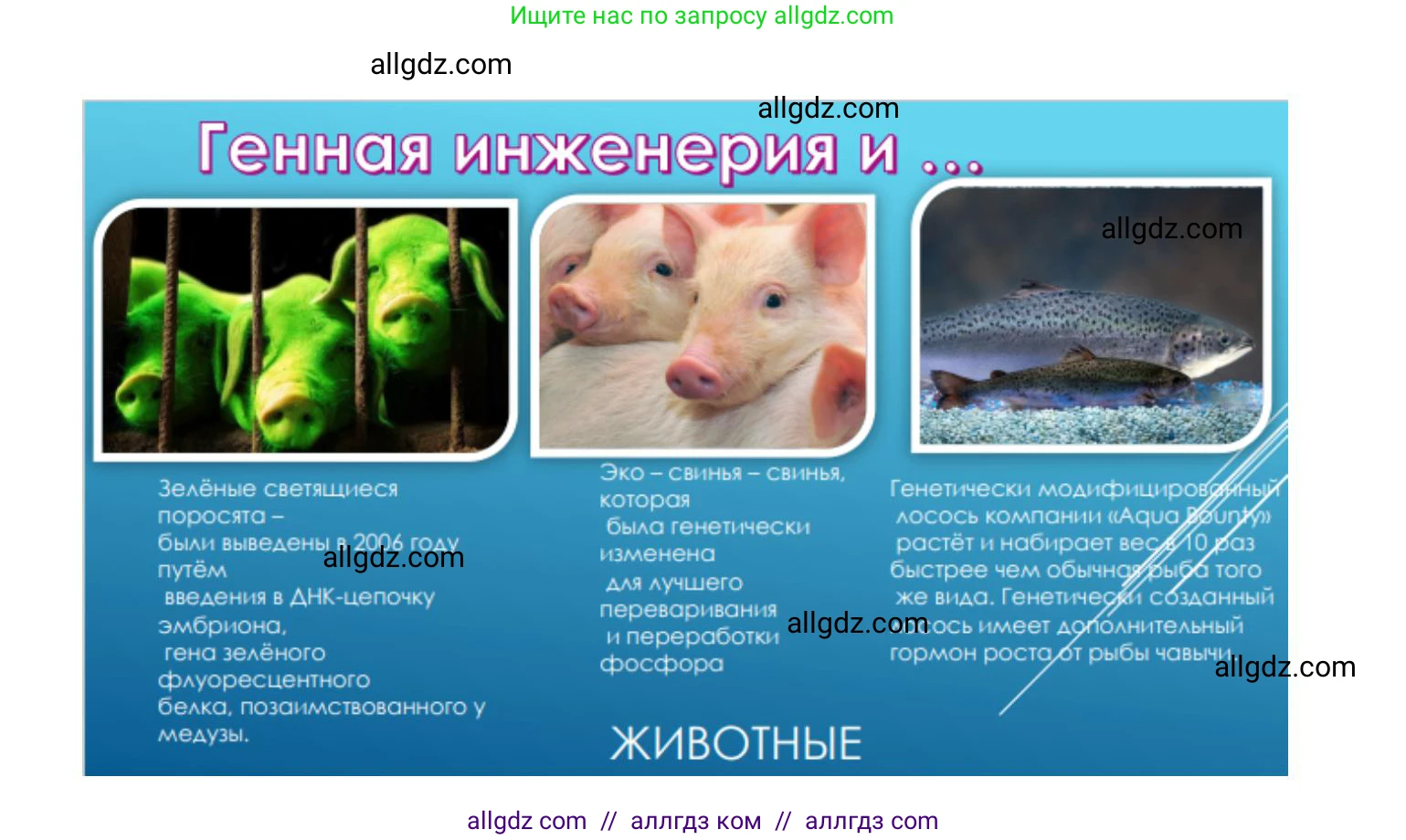 Биология, 11 класс Учебник, авторы: Пасечник Владимир Васильевич, Каменский Андрей Александрович, Рубцов Александр Михайлович, Швецов Глеб Геннадьевич, Гапонюк Зоя Георгиевна, издательство Просвещение, Москва, 2018, страница 74, Решение (продолжение 3)