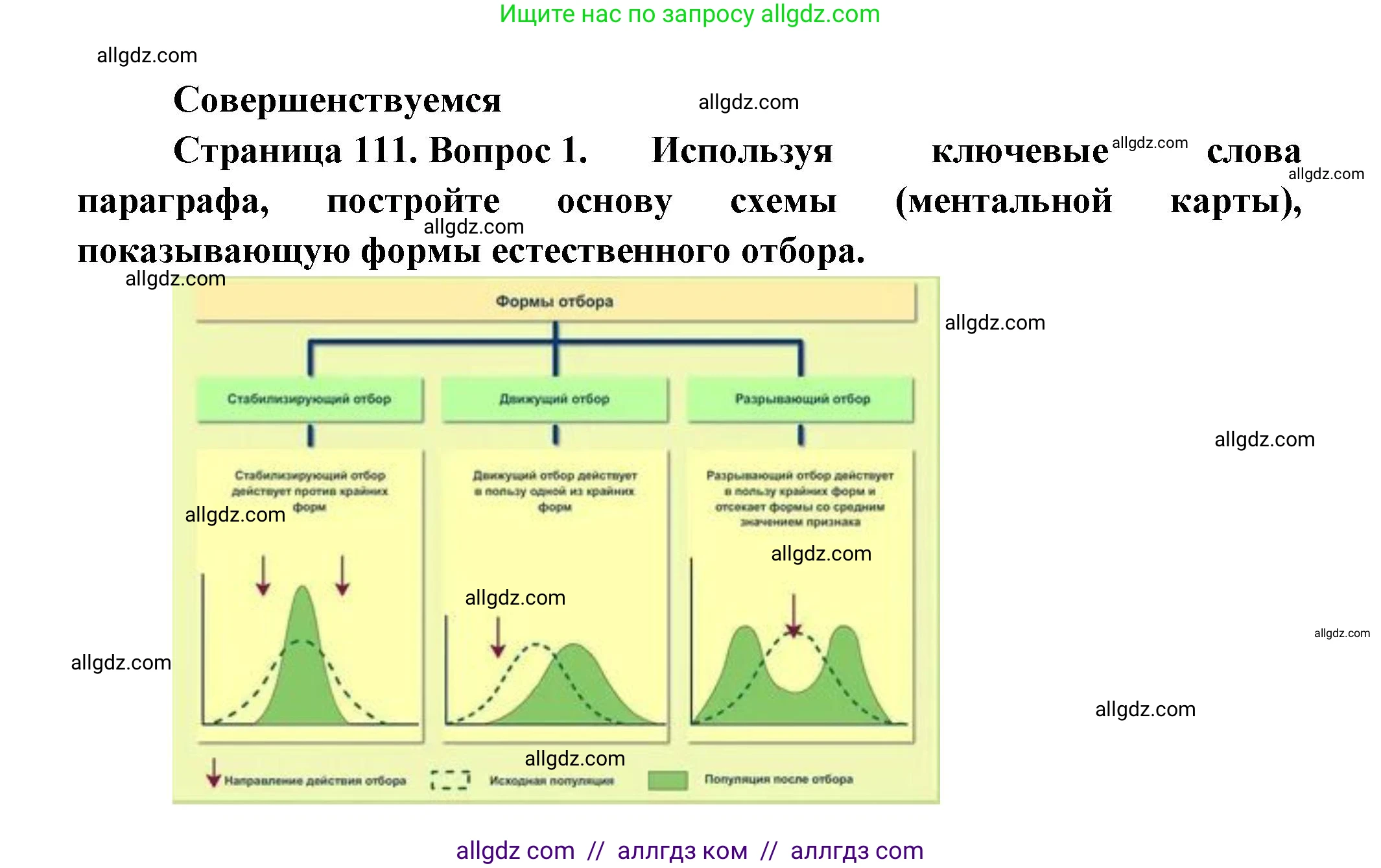 Биология, 11 класс Учебник, авторы: Пасечник Владимир Васильевич, Каменский Андрей Александрович, Рубцов Александр Михайлович, Швецов Глеб Геннадьевич, Гапонюк Зоя Георгиевна, издательство Просвещение, Москва, 2018, страница 111, номер 1, Решение