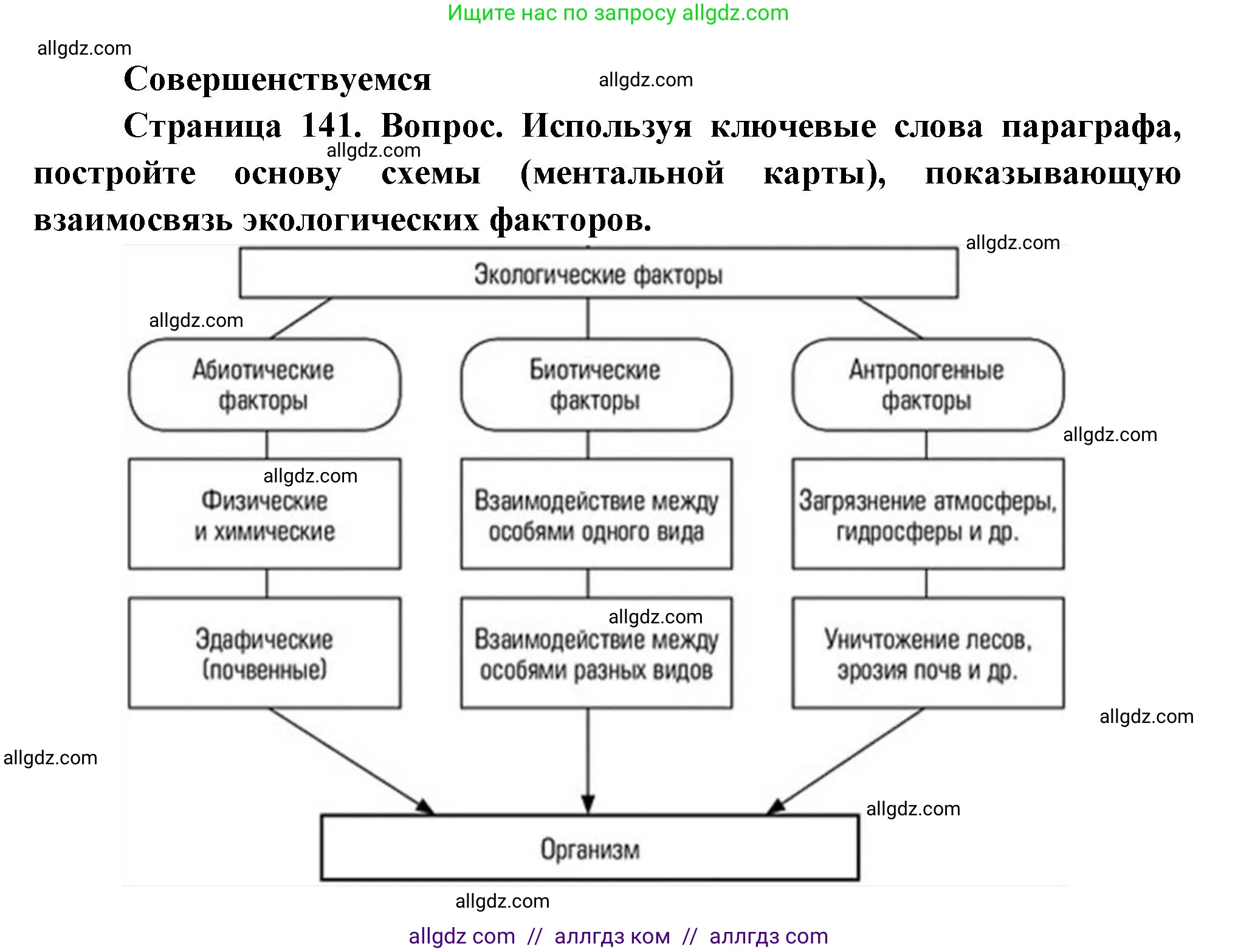Биология, 11 класс Учебник, авторы: Пасечник Владимир Васильевич, Каменский Андрей Александрович, Рубцов Александр Михайлович, Швецов Глеб Геннадьевич, Гапонюк Зоя Георгиевна, издательство Просвещение, Москва, 2018, страница 141, Решение