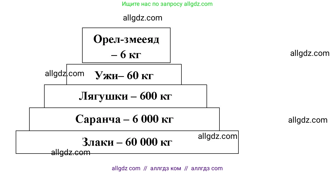 Биология, 11 класс Учебник, авторы: Пасечник Владимир Васильевич, Каменский Андрей Александрович, Рубцов Александр Михайлович, Швецов Глеб Геннадьевич, Гапонюк Зоя Георгиевна, издательство Просвещение, Москва, 2018, страница 174, Решение (продолжение 2)