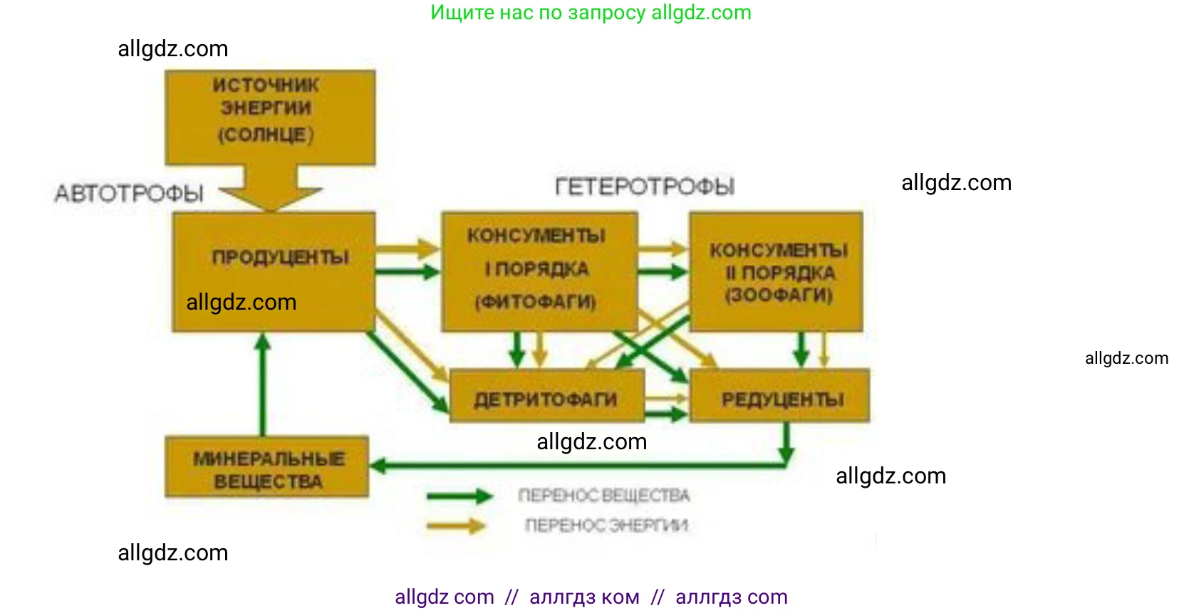 Биология, 11 класс Учебник, авторы: Пасечник Владимир Васильевич, Каменский Андрей Александрович, Рубцов Александр Михайлович, Швецов Глеб Геннадьевич, Гапонюк Зоя Георгиевна, издательство Просвещение, Москва, 2018, страница 180, номер 1, Решение (продолжение 2)