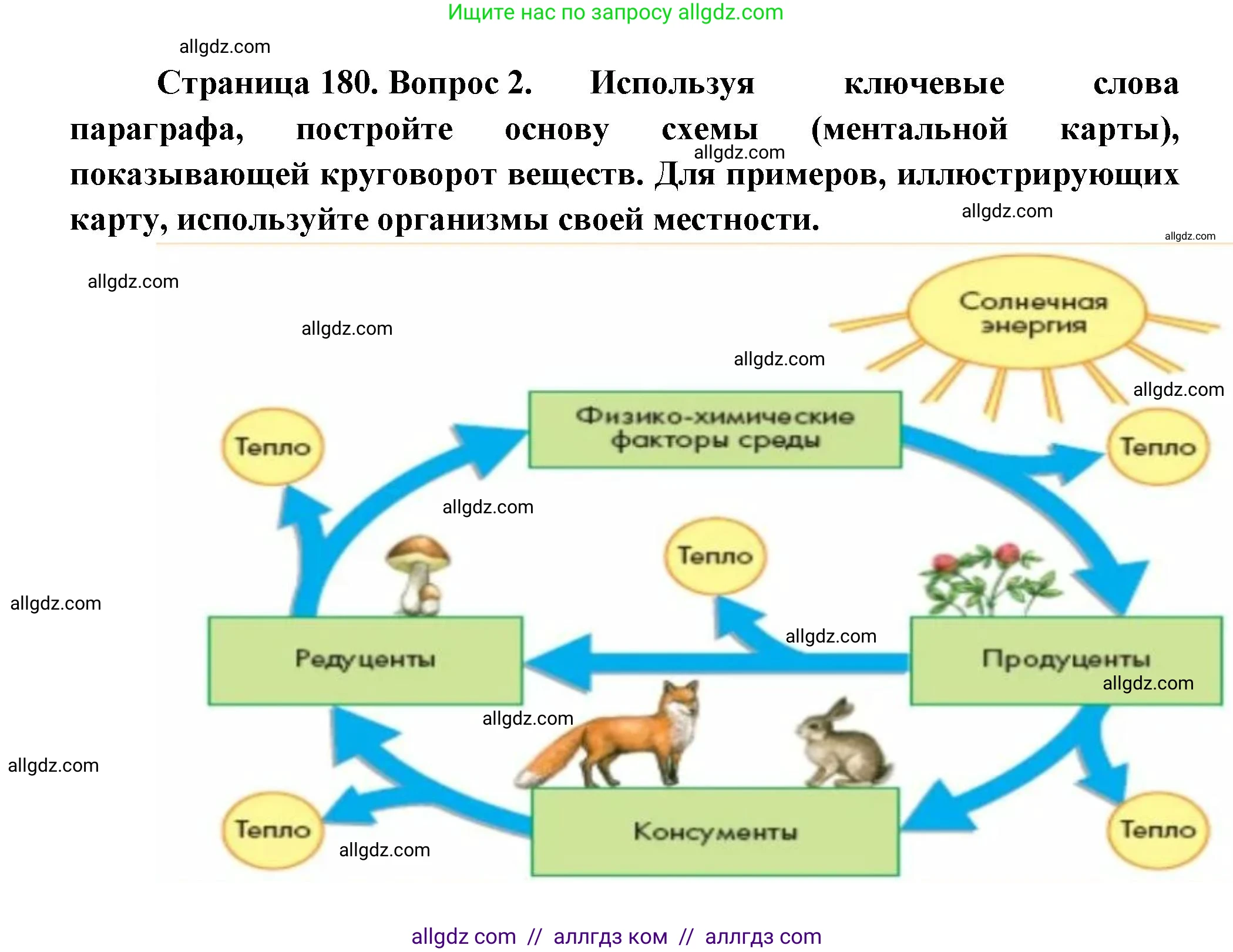 Биология, 11 класс Учебник, авторы: Пасечник Владимир Васильевич, Каменский Андрей Александрович, Рубцов Александр Михайлович, Швецов Глеб Геннадьевич, Гапонюк Зоя Георгиевна, издательство Просвещение, Москва, 2018, страница 180, номер 2, Решение