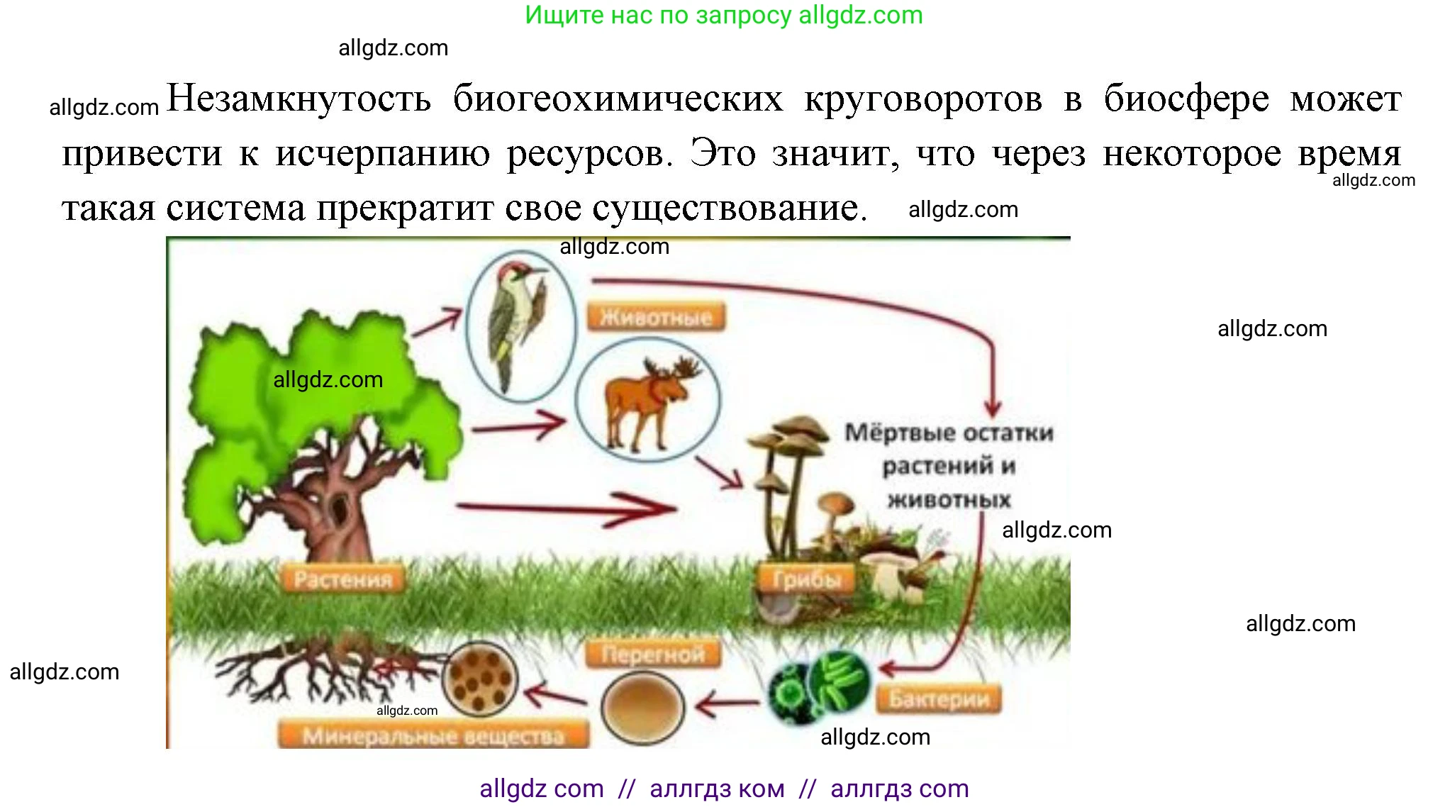 Биология, 11 класс Учебник, авторы: Пасечник Владимир Васильевич, Каменский Андрей Александрович, Рубцов Александр Михайлович, Швецов Глеб Геннадьевич, Гапонюк Зоя Георгиевна, издательство Просвещение, Москва, 2018, страница 202, номер 1, Решение (продолжение 2)