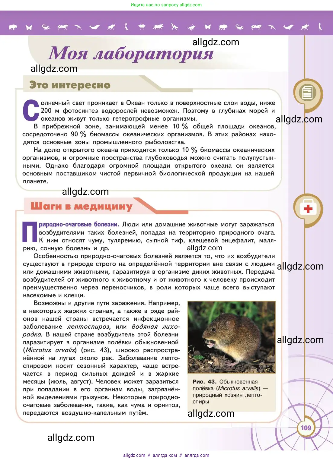 Биология, 11 класс Учебник, авторы: Пасечник Владимир Васильевич, Каменский Андрей Александрович, Рубцов Александр Михайлович, Швецов Глеб Геннадьевич, Абовян Леван Арташесович, Гапонюк Зоя Георгиевна, издательство Просвещение, Москва, 2019, страница 109
