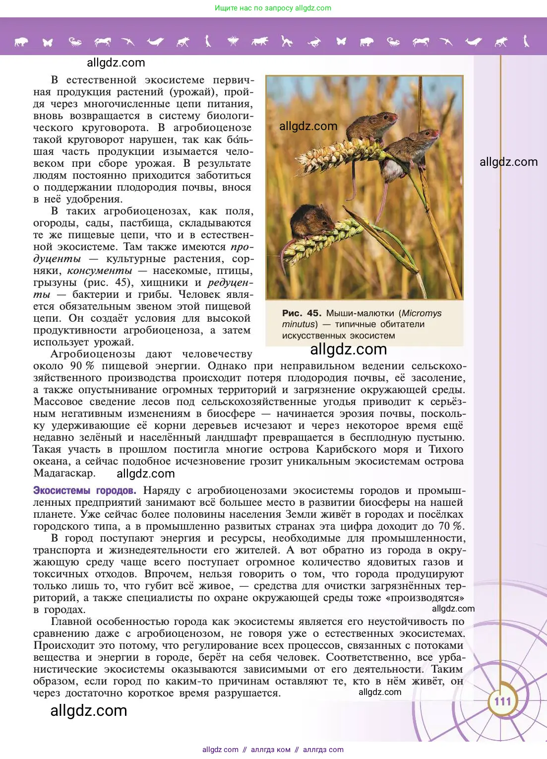 Биология, 11 класс Учебник, авторы: Пасечник Владимир Васильевич, Каменский Андрей Александрович, Рубцов Александр Михайлович, Швецов Глеб Геннадьевич, Абовян Леван Арташесович, Гапонюк Зоя Георгиевна, издательство Просвещение, Москва, 2019, страница 111
