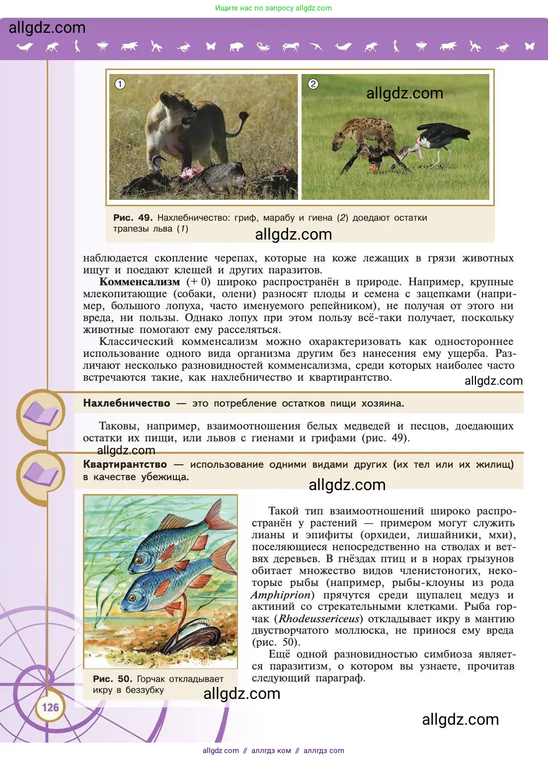 Биология, 11 класс Учебник, авторы: Пасечник Владимир Васильевич, Каменский Андрей Александрович, Рубцов Александр Михайлович, Швецов Глеб Геннадьевич, Абовян Леван Арташесович, Гапонюк Зоя Георгиевна, издательство Просвещение, Москва, 2019, страница 126