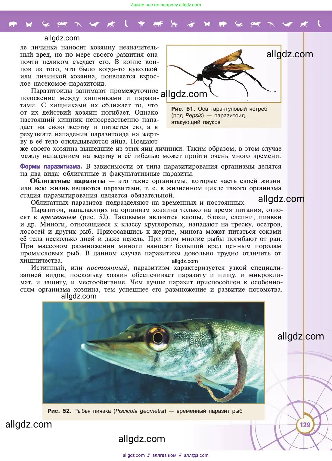 Биология, 11 класс Учебник, авторы: Пасечник Владимир Васильевич, Каменский Андрей Александрович, Рубцов Александр Михайлович, Швецов Глеб Геннадьевич, Абовян Леван Арташесович, Гапонюк Зоя Георгиевна, издательство Просвещение, Москва, 2019, страница 129