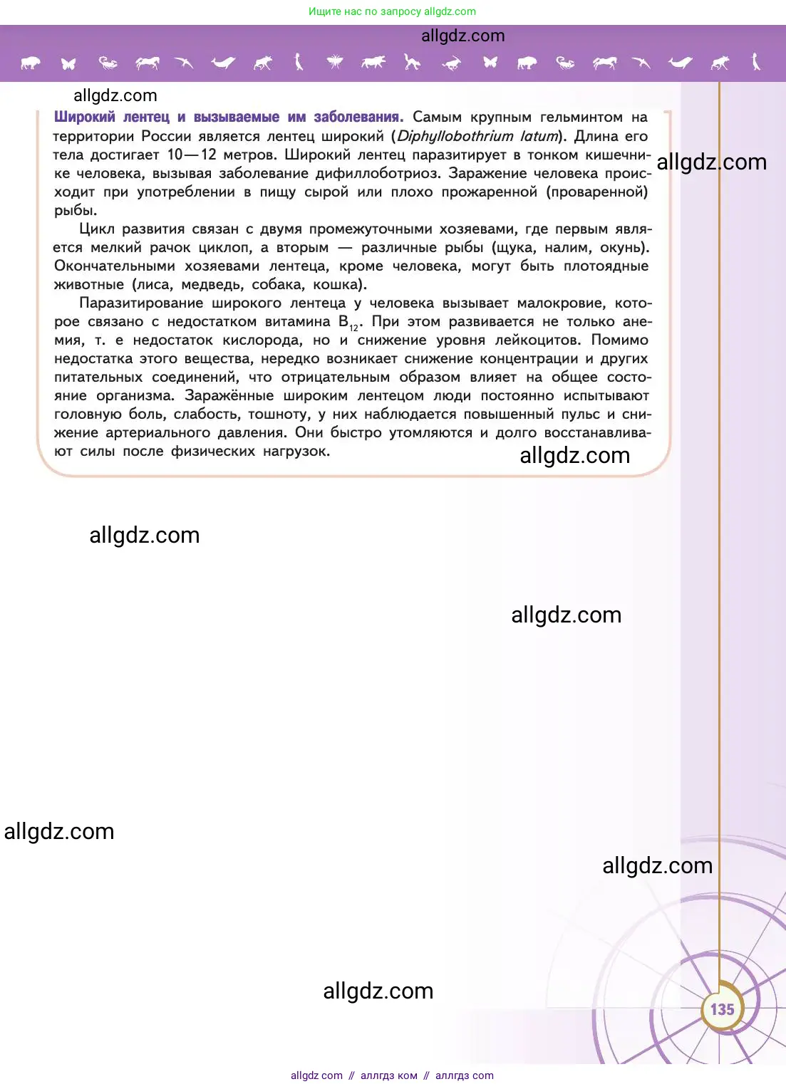 Биология, 11 класс Учебник, авторы: Пасечник Владимир Васильевич, Каменский Андрей Александрович, Рубцов Александр Михайлович, Швецов Глеб Геннадьевич, Абовян Леван Арташесович, Гапонюк Зоя Георгиевна, издательство Просвещение, Москва, 2019, страница 135