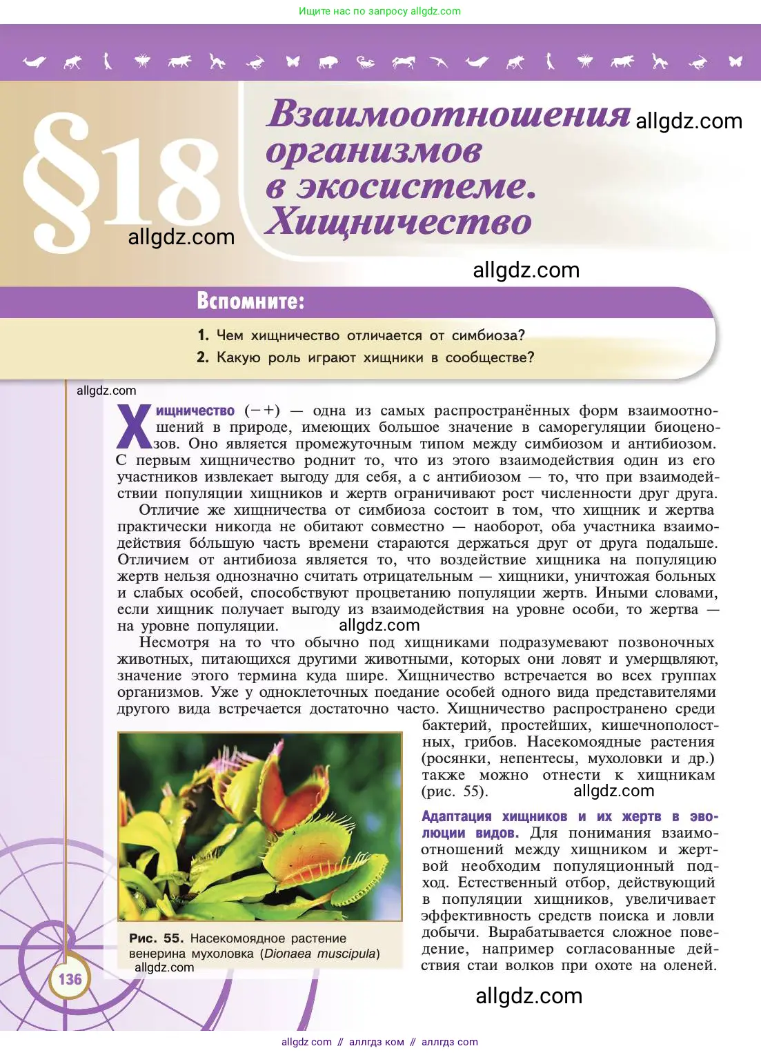 Биология, 11 класс Учебник, авторы: Пасечник Владимир Васильевич, Каменский Андрей Александрович, Рубцов Александр Михайлович, Швецов Глеб Геннадьевич, Абовян Леван Арташесович, Гапонюк Зоя Георгиевна, издательство Просвещение, Москва, 2019, страница 136
