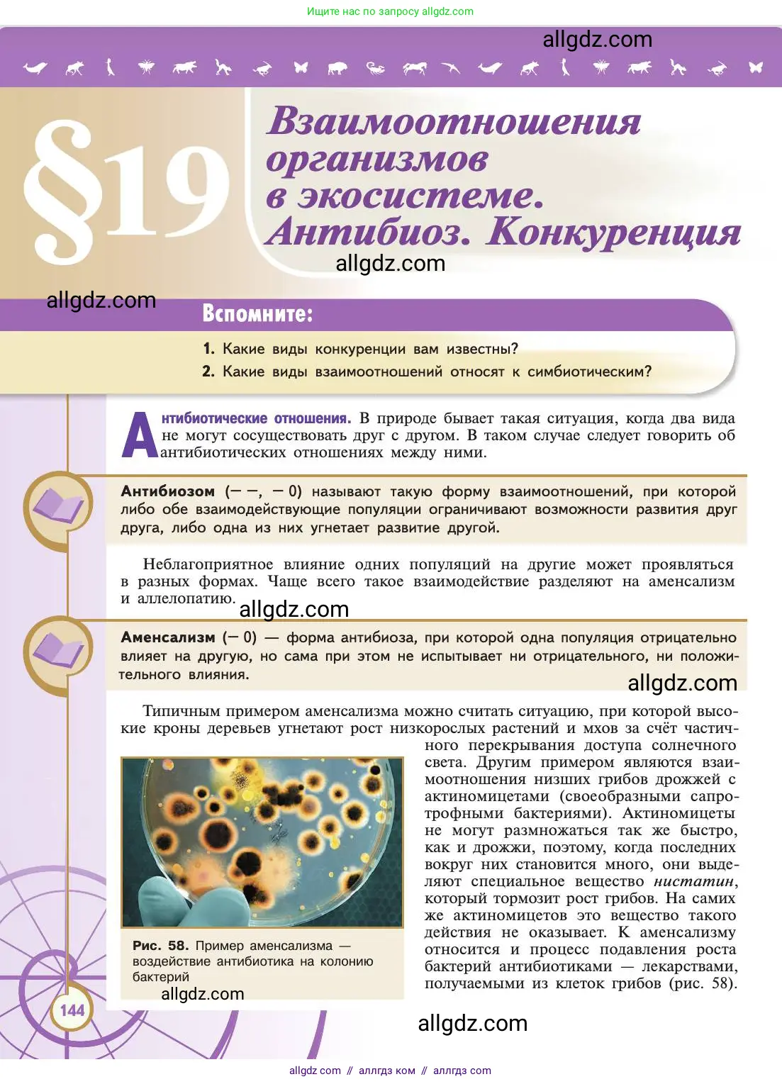 Биология, 11 класс Учебник, авторы: Пасечник Владимир Васильевич, Каменский Андрей Александрович, Рубцов Александр Михайлович, Швецов Глеб Геннадьевич, Абовян Леван Арташесович, Гапонюк Зоя Георгиевна, издательство Просвещение, Москва, 2019, страница 144