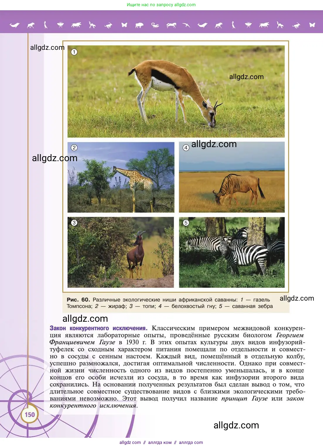 Биология, 11 класс Учебник, авторы: Пасечник Владимир Васильевич, Каменский Андрей Александрович, Рубцов Александр Михайлович, Швецов Глеб Геннадьевич, Абовян Леван Арташесович, Гапонюк Зоя Георгиевна, издательство Просвещение, Москва, 2019, страница 150