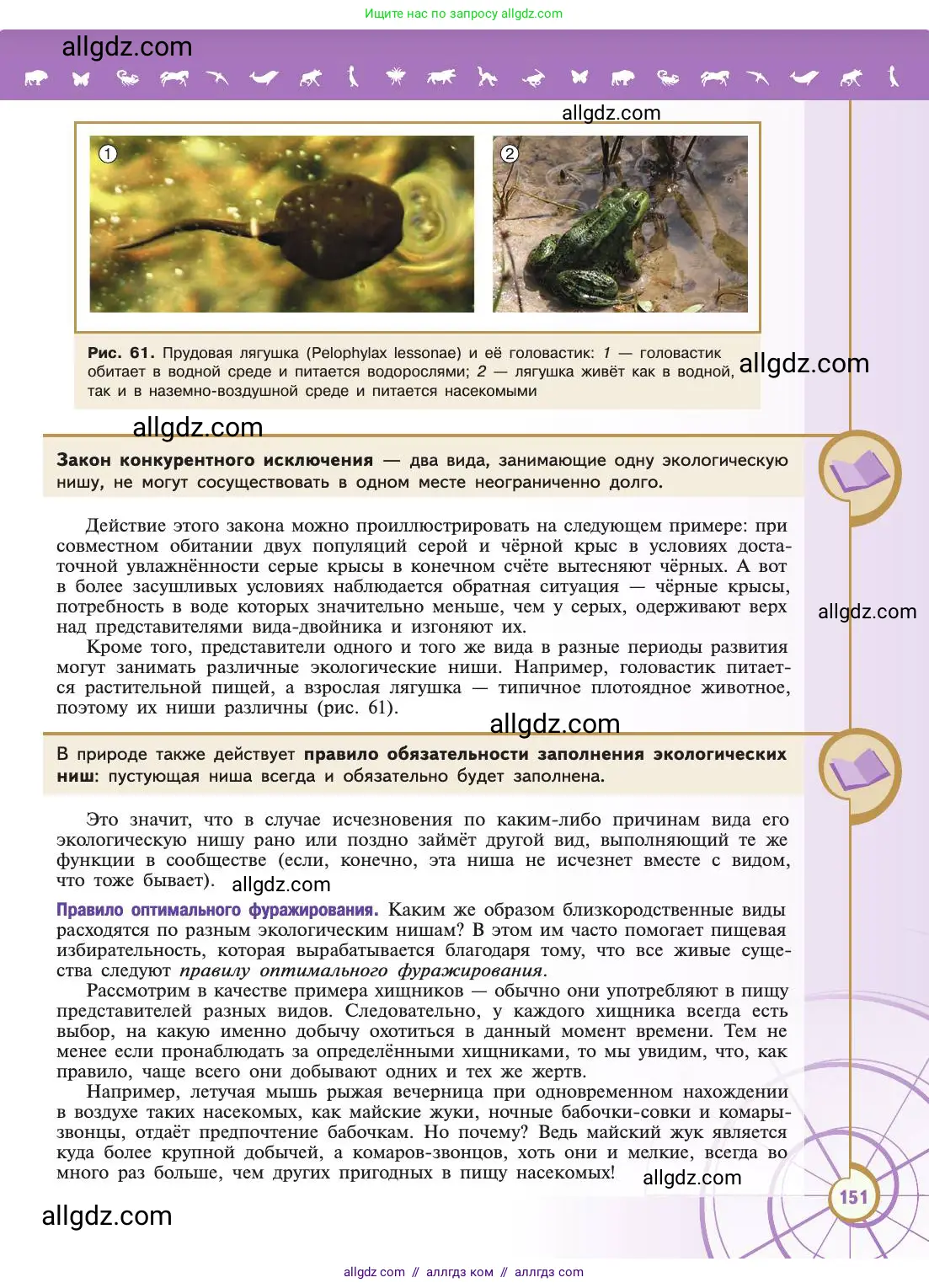 Биология, 11 класс Учебник, авторы: Пасечник Владимир Васильевич, Каменский Андрей Александрович, Рубцов Александр Михайлович, Швецов Глеб Геннадьевич, Абовян Леван Арташесович, Гапонюк Зоя Георгиевна, издательство Просвещение, Москва, 2019, страница 151