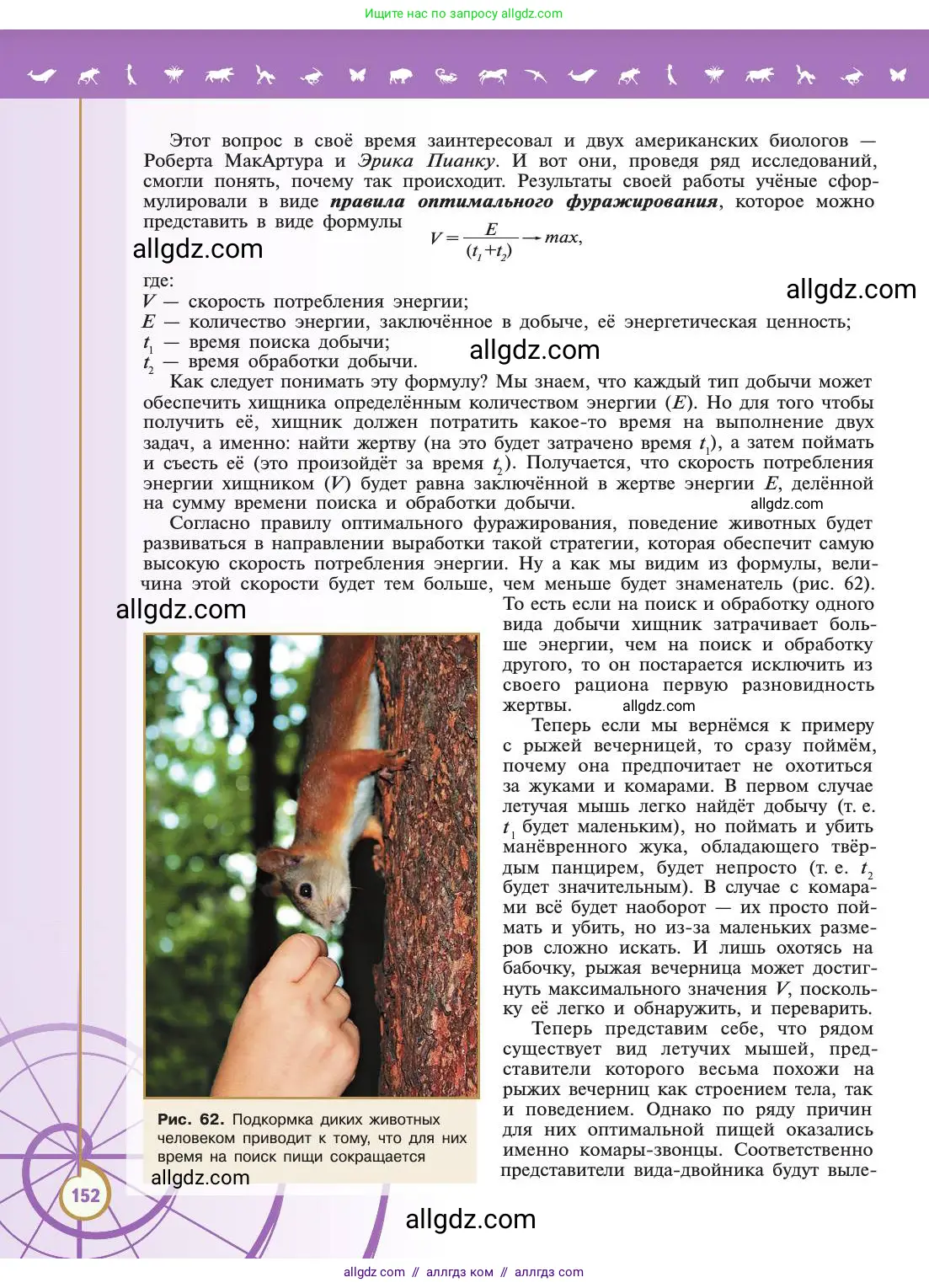 Биология, 11 класс Учебник, авторы: Пасечник Владимир Васильевич, Каменский Андрей Александрович, Рубцов Александр Михайлович, Швецов Глеб Геннадьевич, Абовян Леван Арташесович, Гапонюк Зоя Георгиевна, издательство Просвещение, Москва, 2019, страница 152