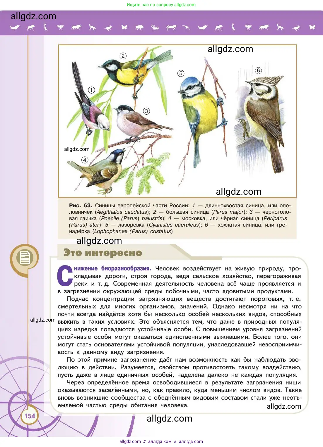 Биология, 11 класс Учебник, авторы: Пасечник Владимир Васильевич, Каменский Андрей Александрович, Рубцов Александр Михайлович, Швецов Глеб Геннадьевич, Абовян Леван Арташесович, Гапонюк Зоя Георгиевна, издательство Просвещение, Москва, 2019, страница 154