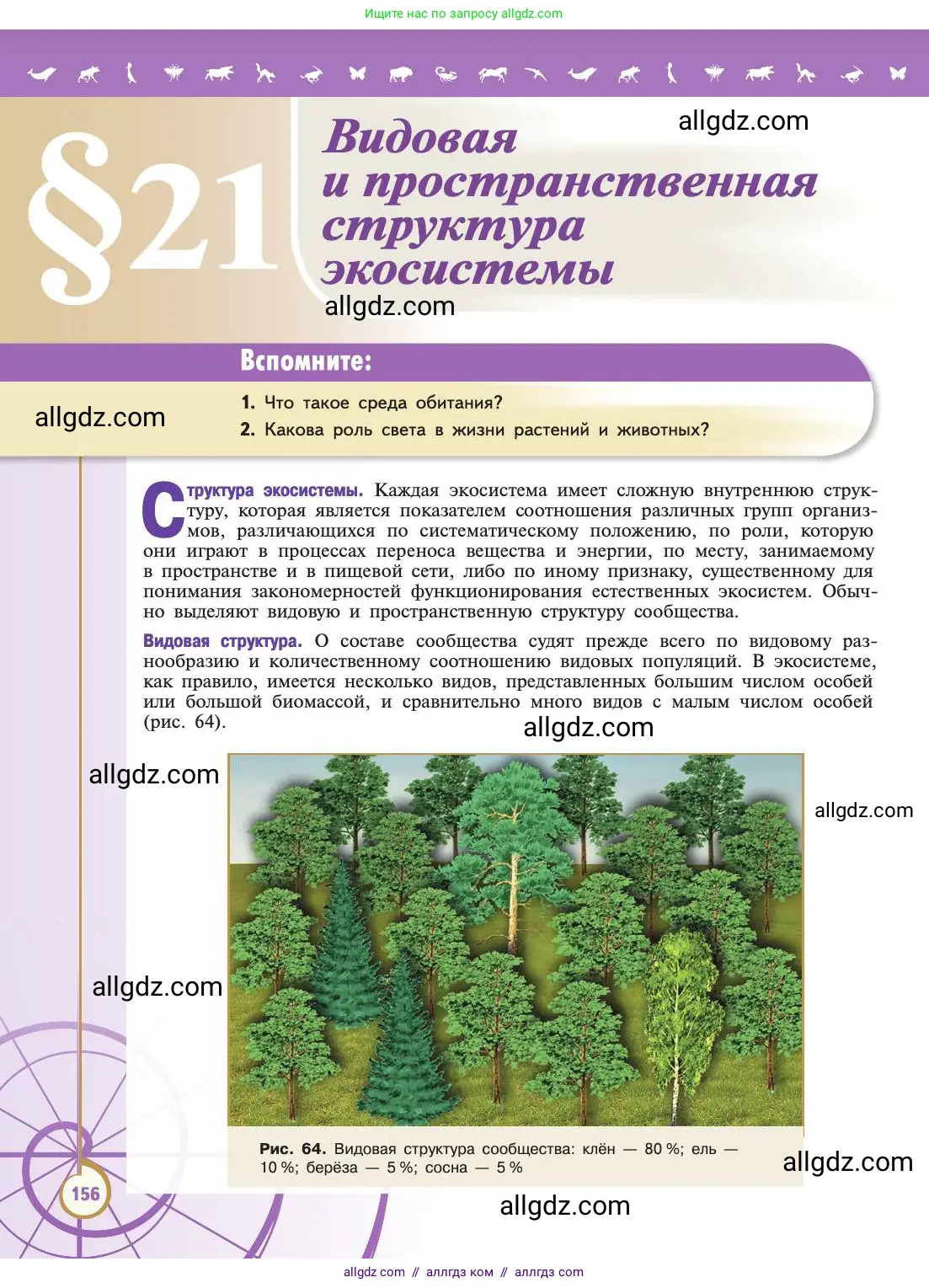 Биология, 11 класс Учебник, авторы: Пасечник Владимир Васильевич, Каменский Андрей Александрович, Рубцов Александр Михайлович, Швецов Глеб Геннадьевич, Абовян Леван Арташесович, Гапонюк Зоя Георгиевна, издательство Просвещение, Москва, 2019, страница 156