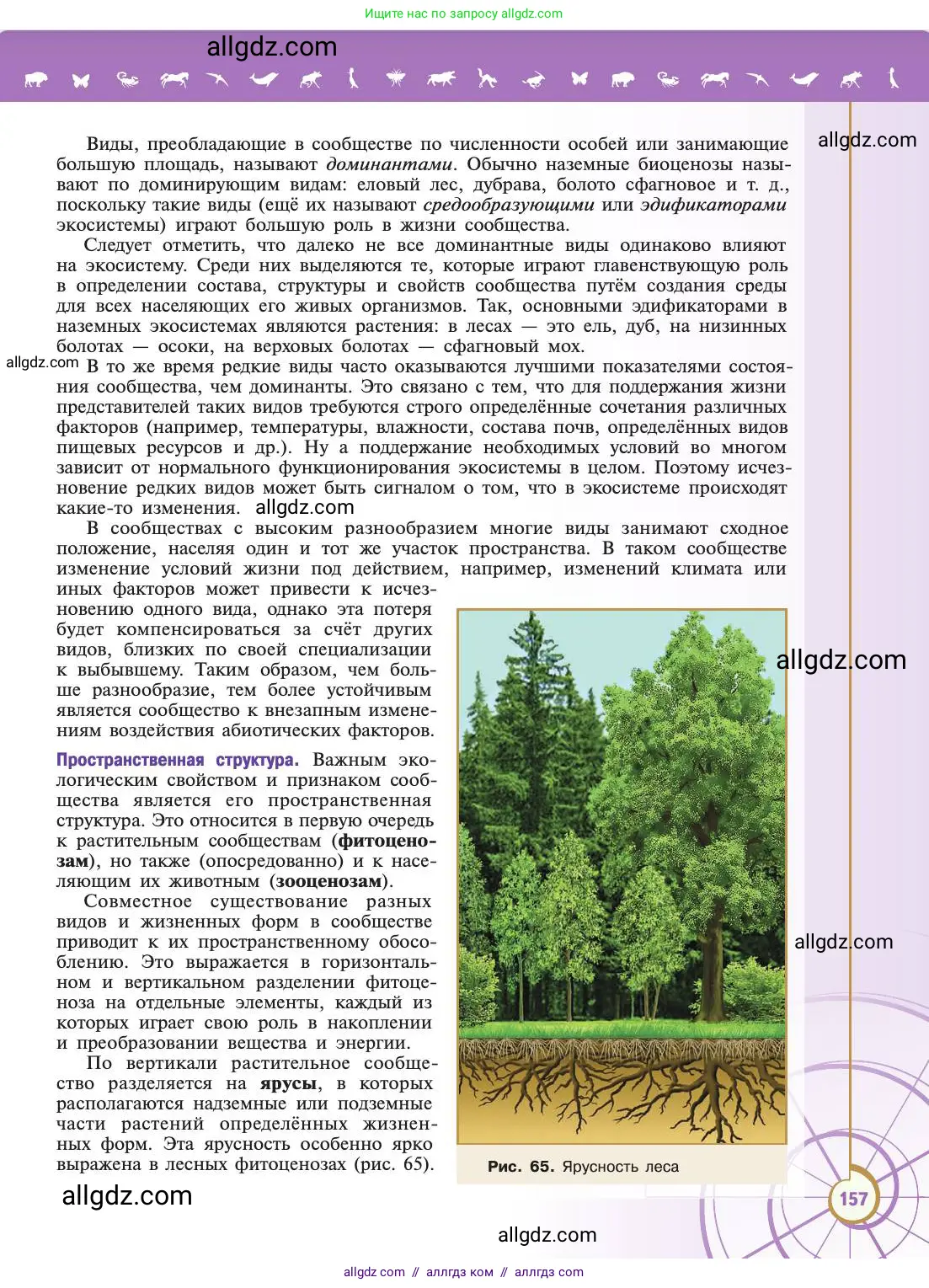 Биология, 11 класс Учебник, авторы: Пасечник Владимир Васильевич, Каменский Андрей Александрович, Рубцов Александр Михайлович, Швецов Глеб Геннадьевич, Абовян Леван Арташесович, Гапонюк Зоя Георгиевна, издательство Просвещение, Москва, 2019, страница 157