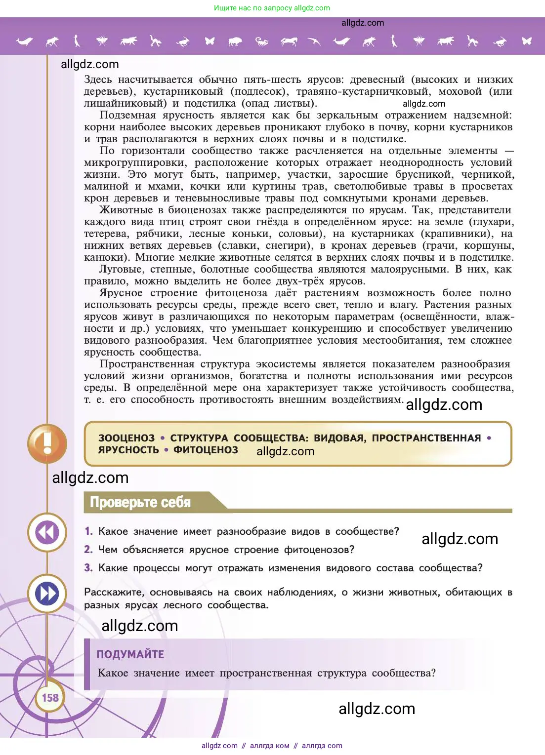 Биология, 11 класс Учебник, авторы: Пасечник Владимир Васильевич, Каменский Андрей Александрович, Рубцов Александр Михайлович, Швецов Глеб Геннадьевич, Абовян Леван Арташесович, Гапонюк Зоя Георгиевна, издательство Просвещение, Москва, 2019, страница 158