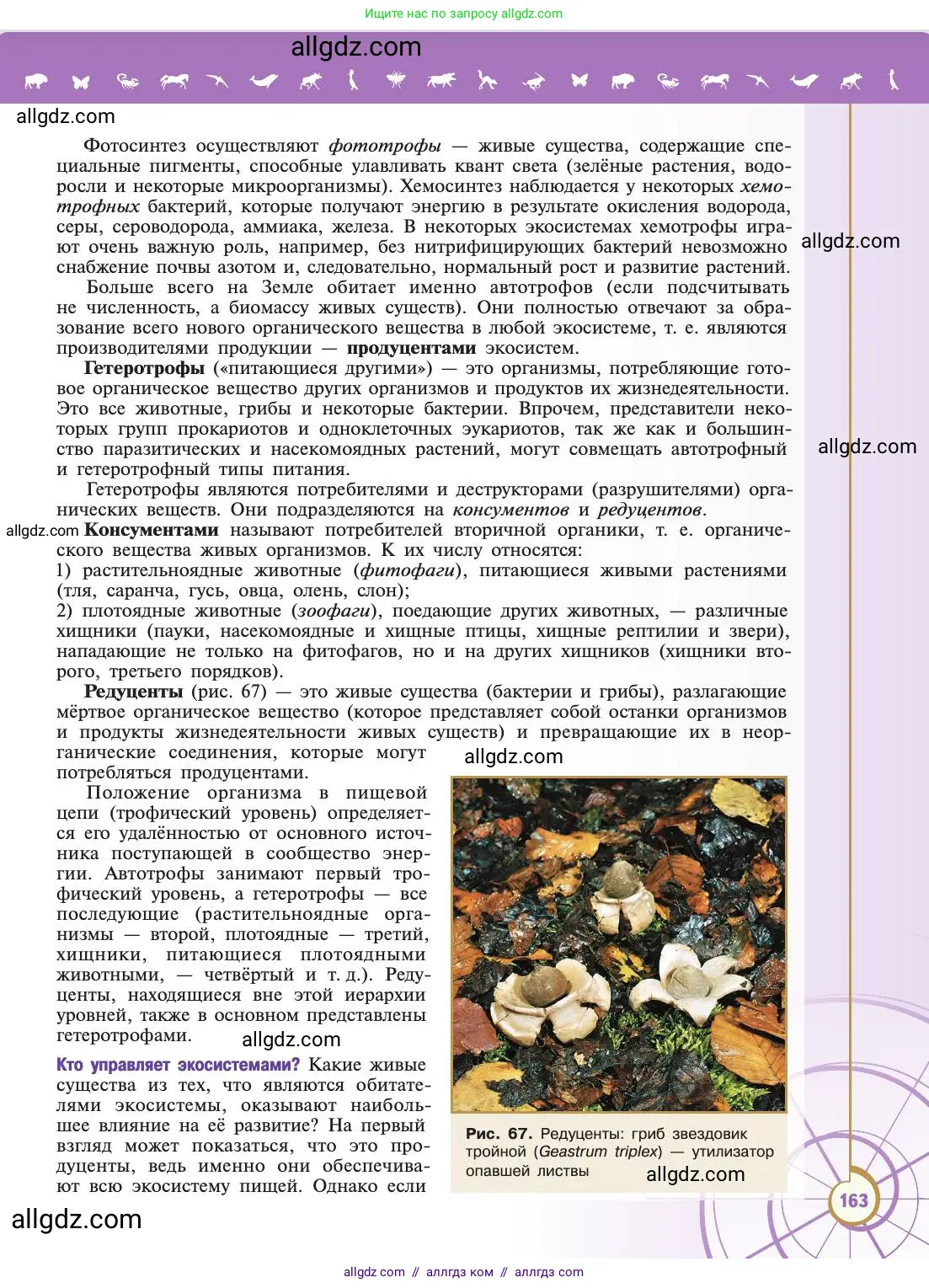 Биология, 11 класс Учебник, авторы: Пасечник Владимир Васильевич, Каменский Андрей Александрович, Рубцов Александр Михайлович, Швецов Глеб Геннадьевич, Абовян Леван Арташесович, Гапонюк Зоя Георгиевна, издательство Просвещение, Москва, 2019, страница 163