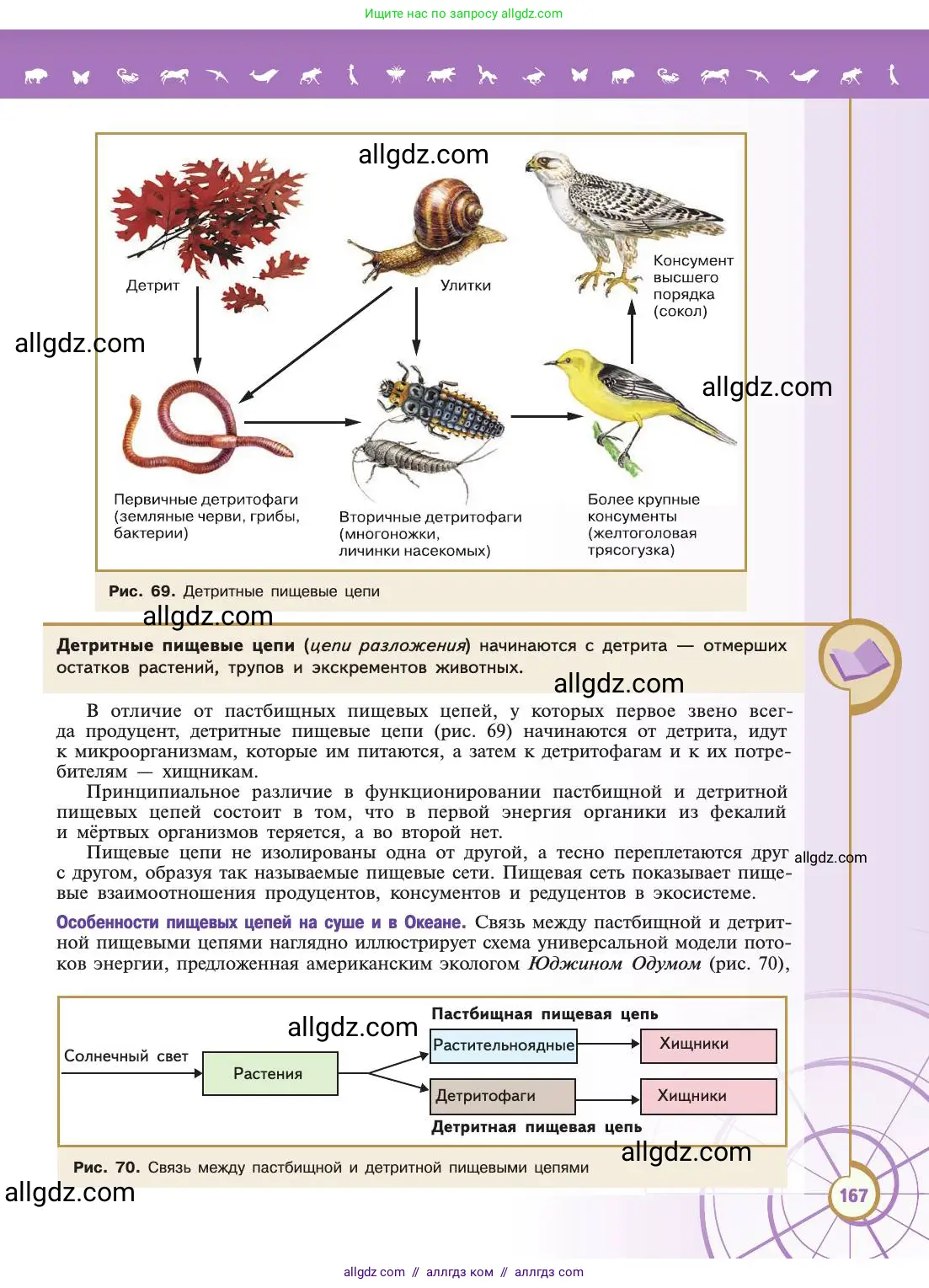 Биология, 11 класс Учебник, авторы: Пасечник Владимир Васильевич, Каменский Андрей Александрович, Рубцов Александр Михайлович, Швецов Глеб Геннадьевич, Абовян Леван Арташесович, Гапонюк Зоя Георгиевна, издательство Просвещение, Москва, 2019, страница 167